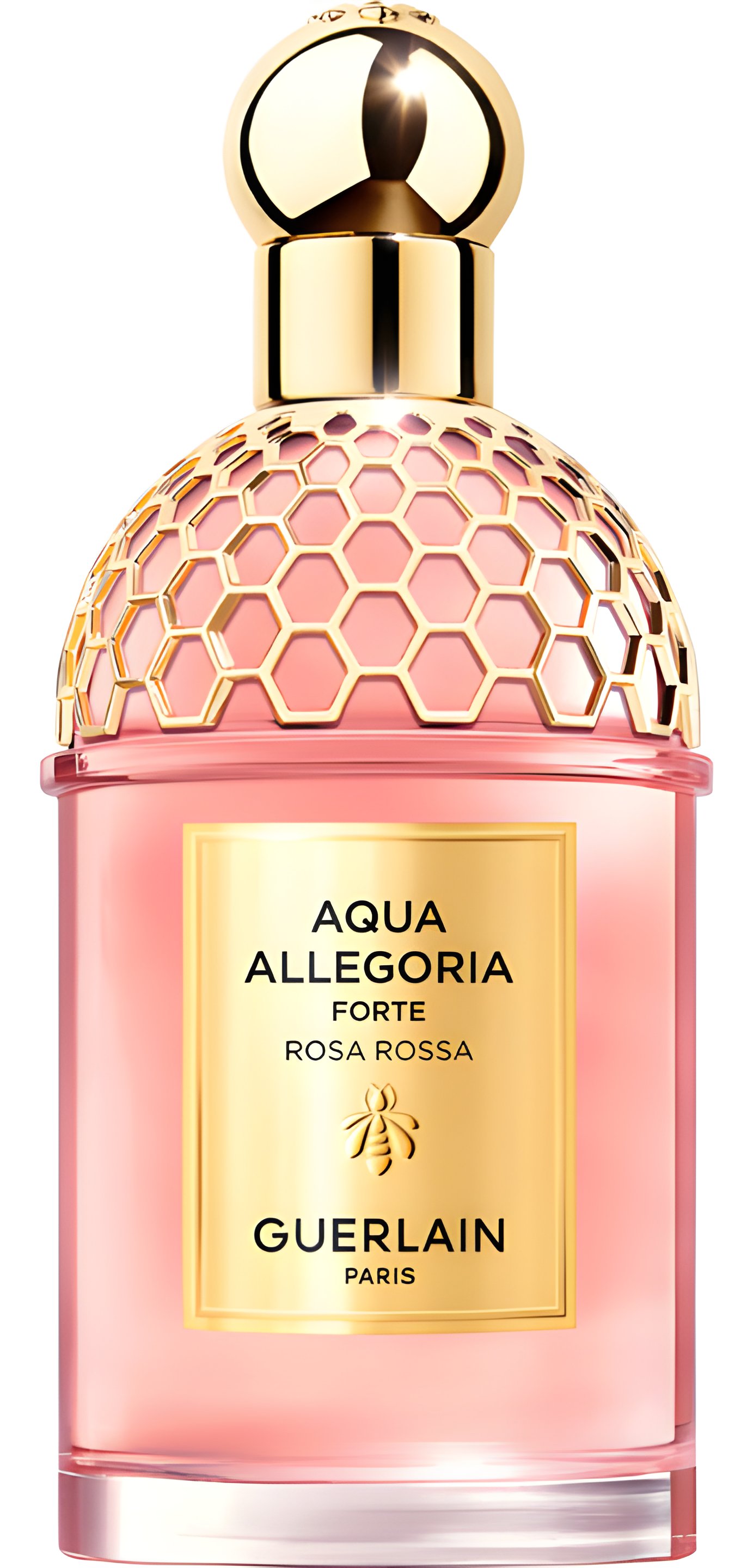 Picture of Aqua Allegoria Forte Rosa Rossa fragrance