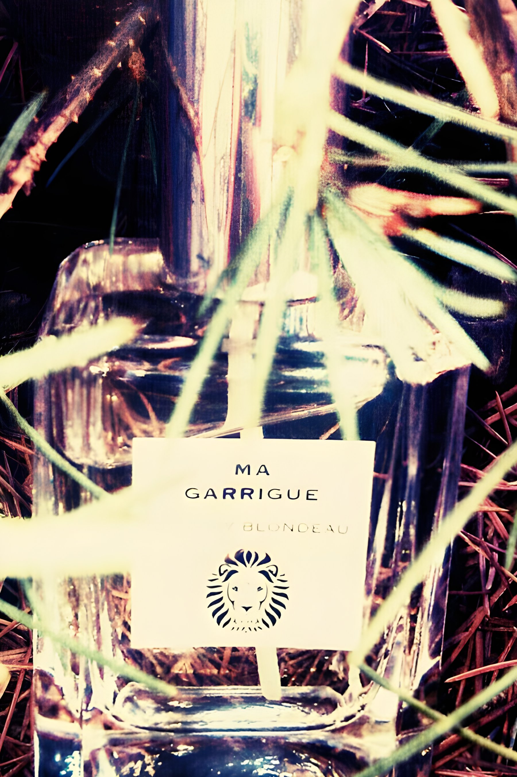 Picture of Ma Guarrigue fragrance