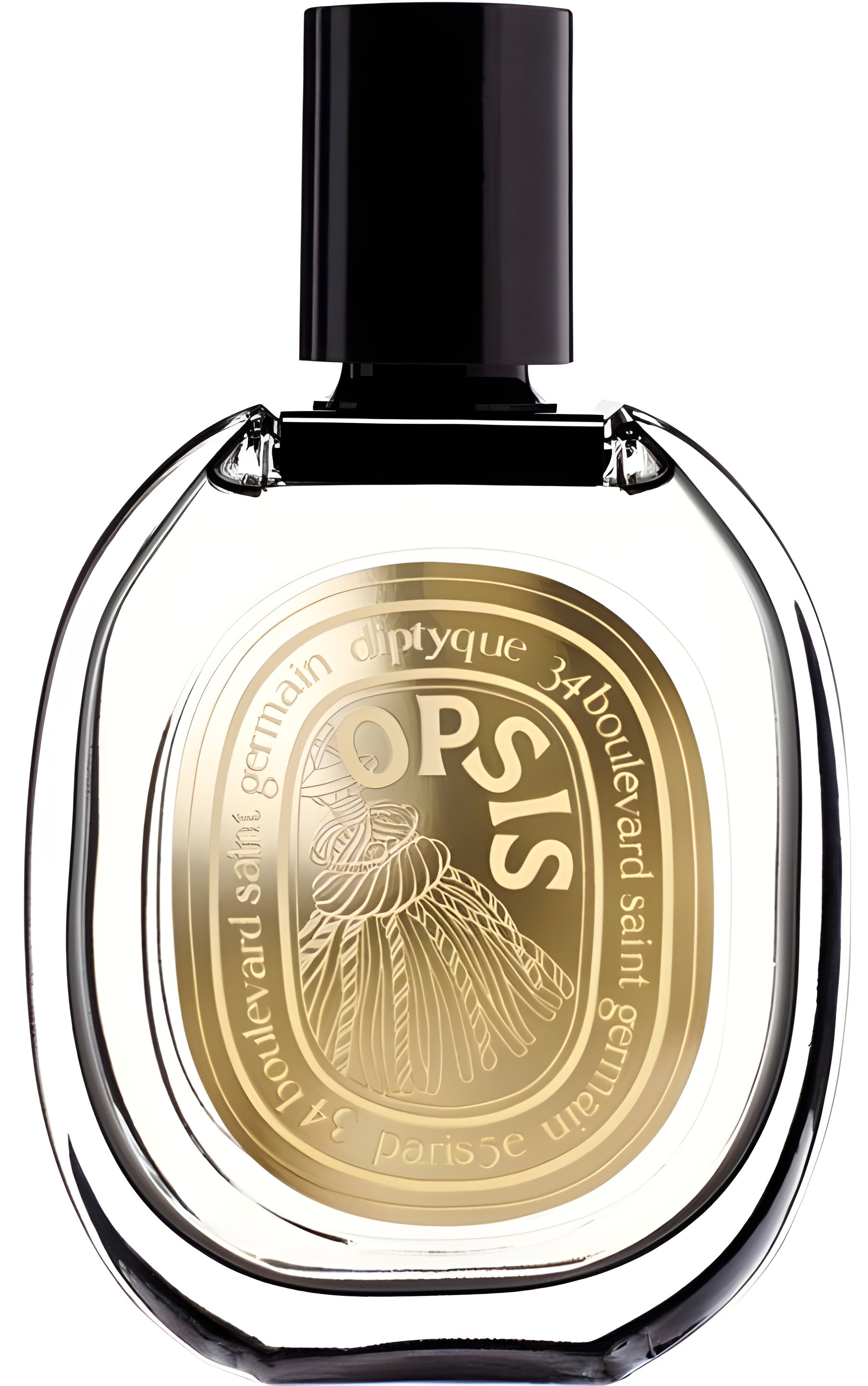 Picture of Opsis fragrance