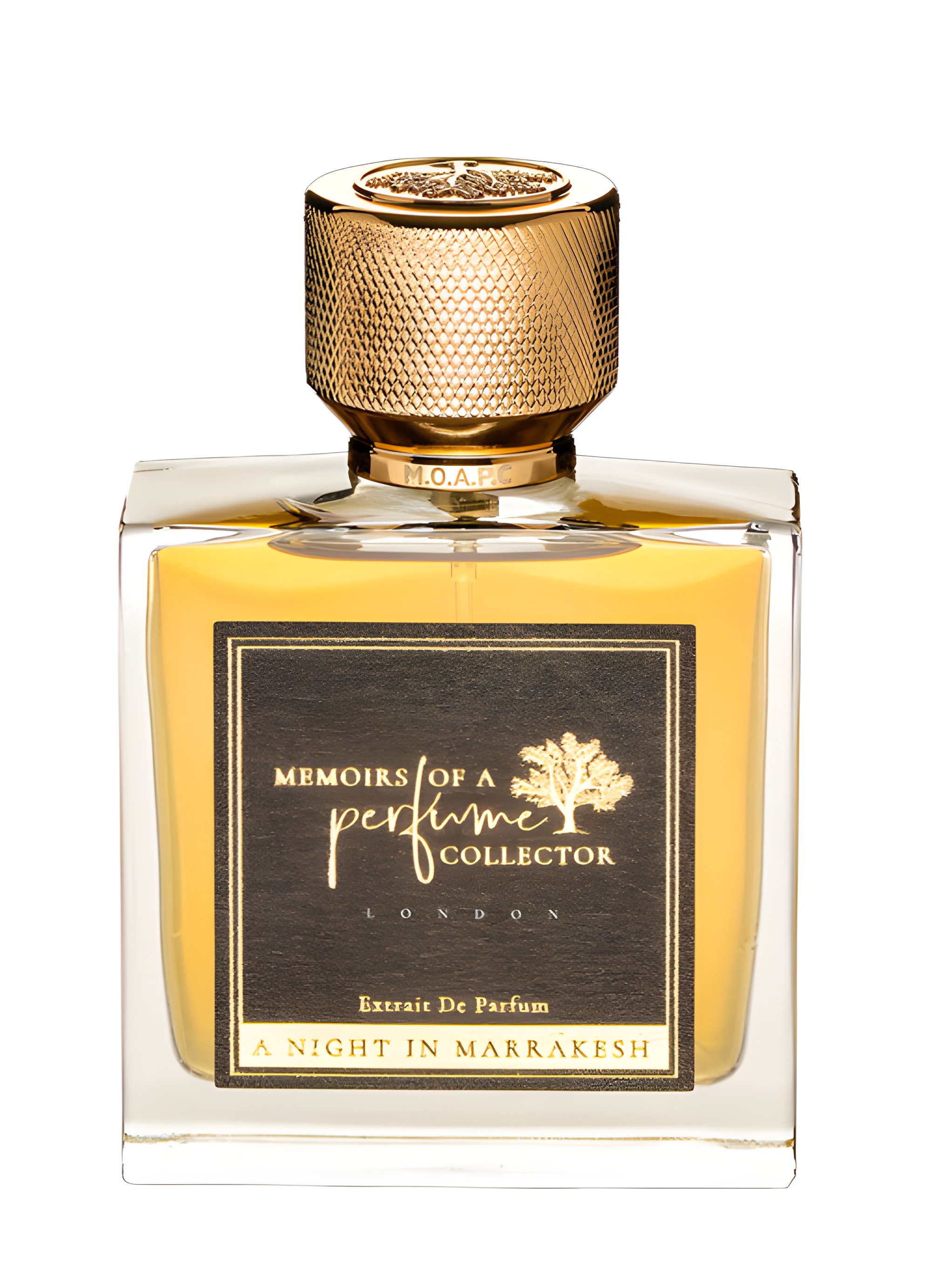 Picture of A Night in Marrakesh fragrance