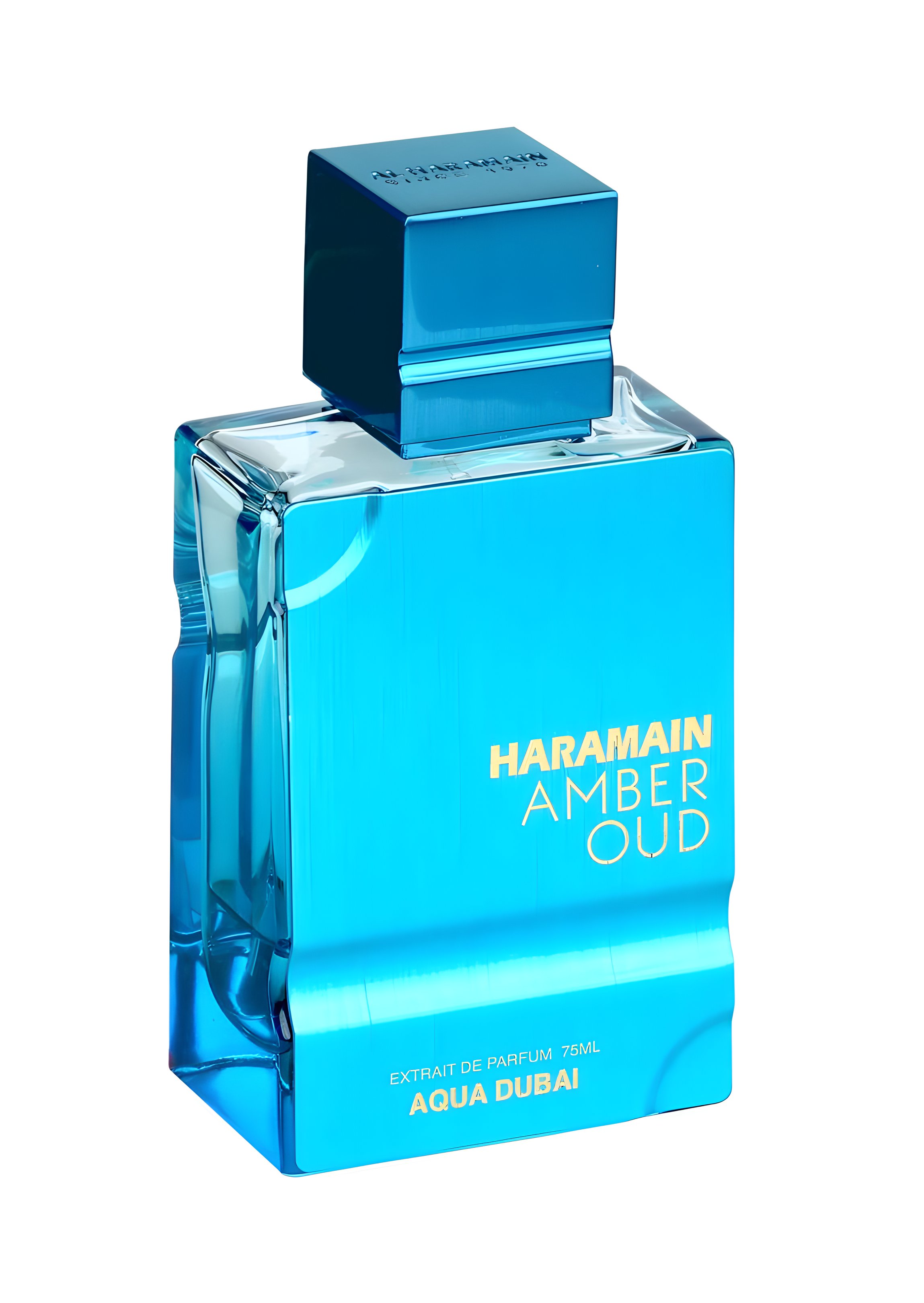 Picture of Amber Oud Aqua Dubai fragrance