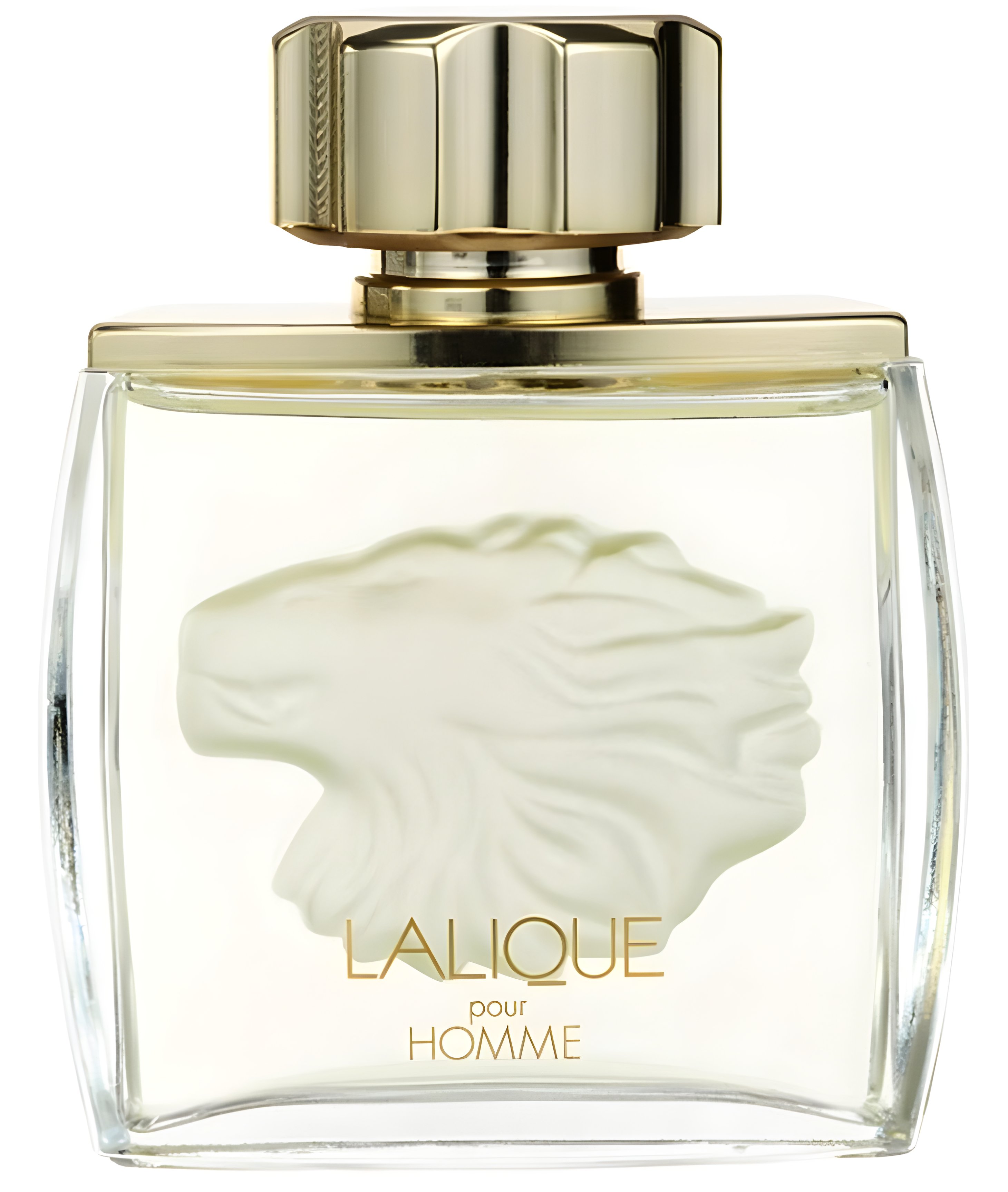 Picture of Lalique Pour Homme fragrance