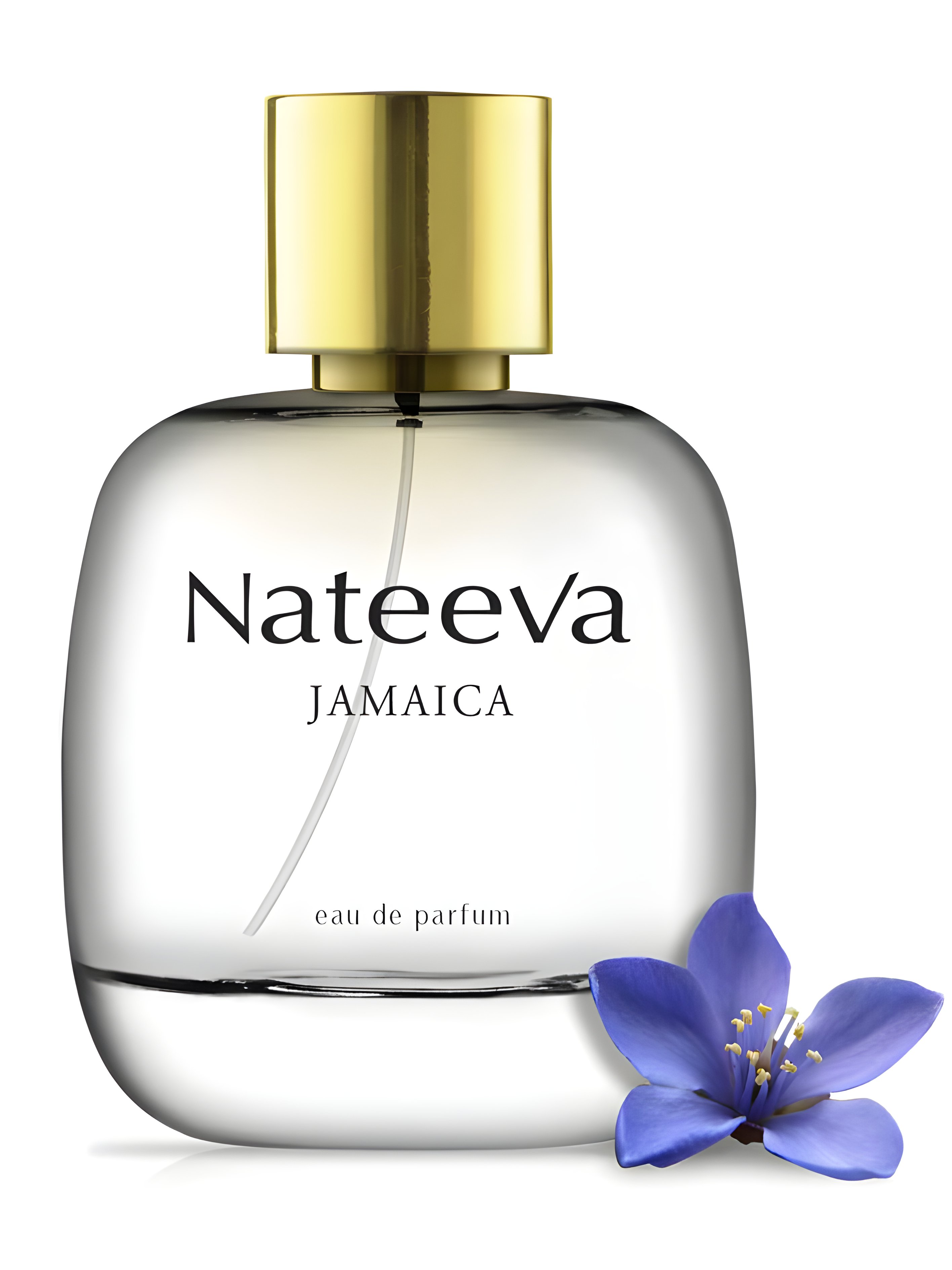 Picture of Jamaica fragrance