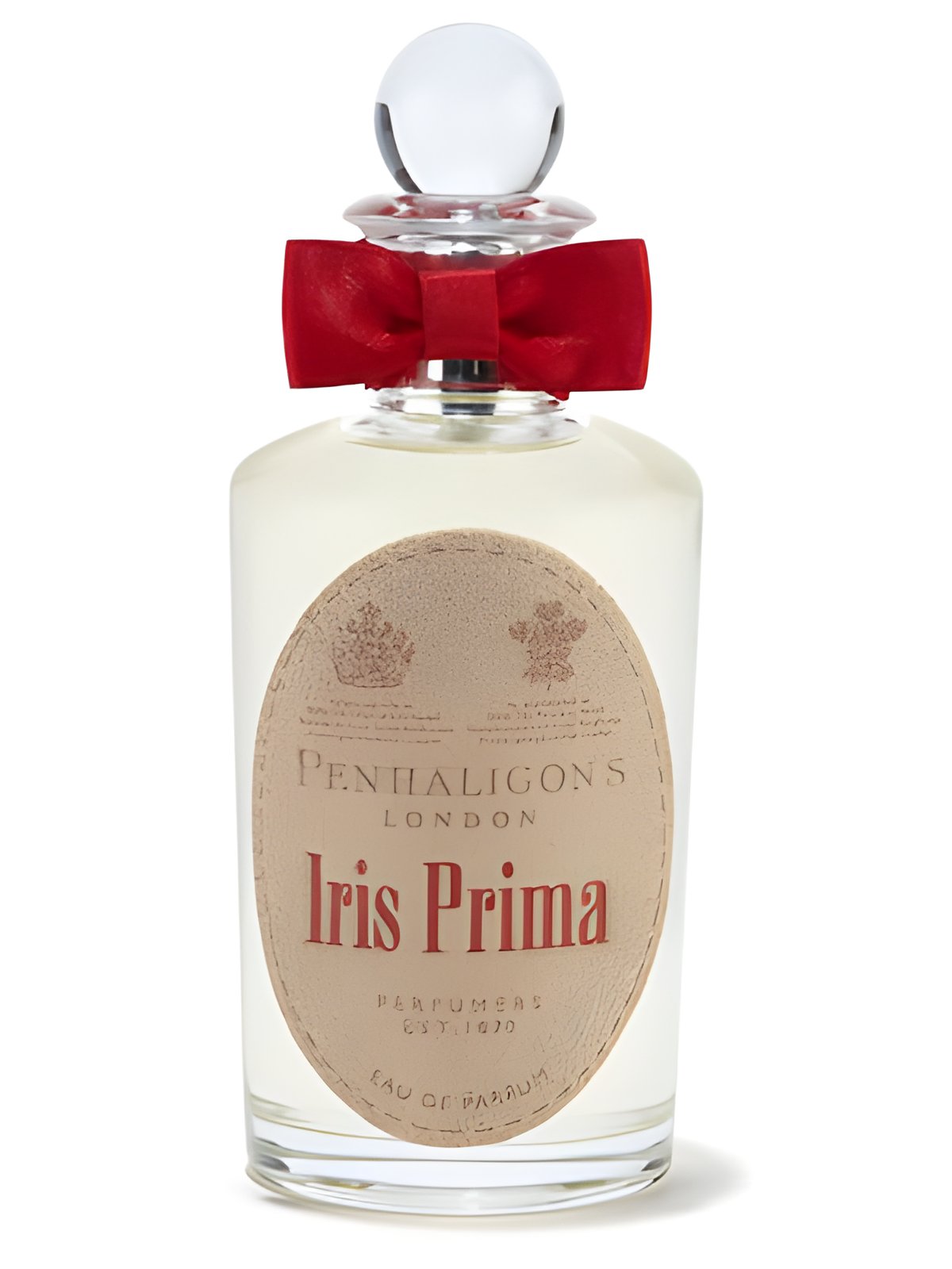 Picture of Iris Prima fragrance