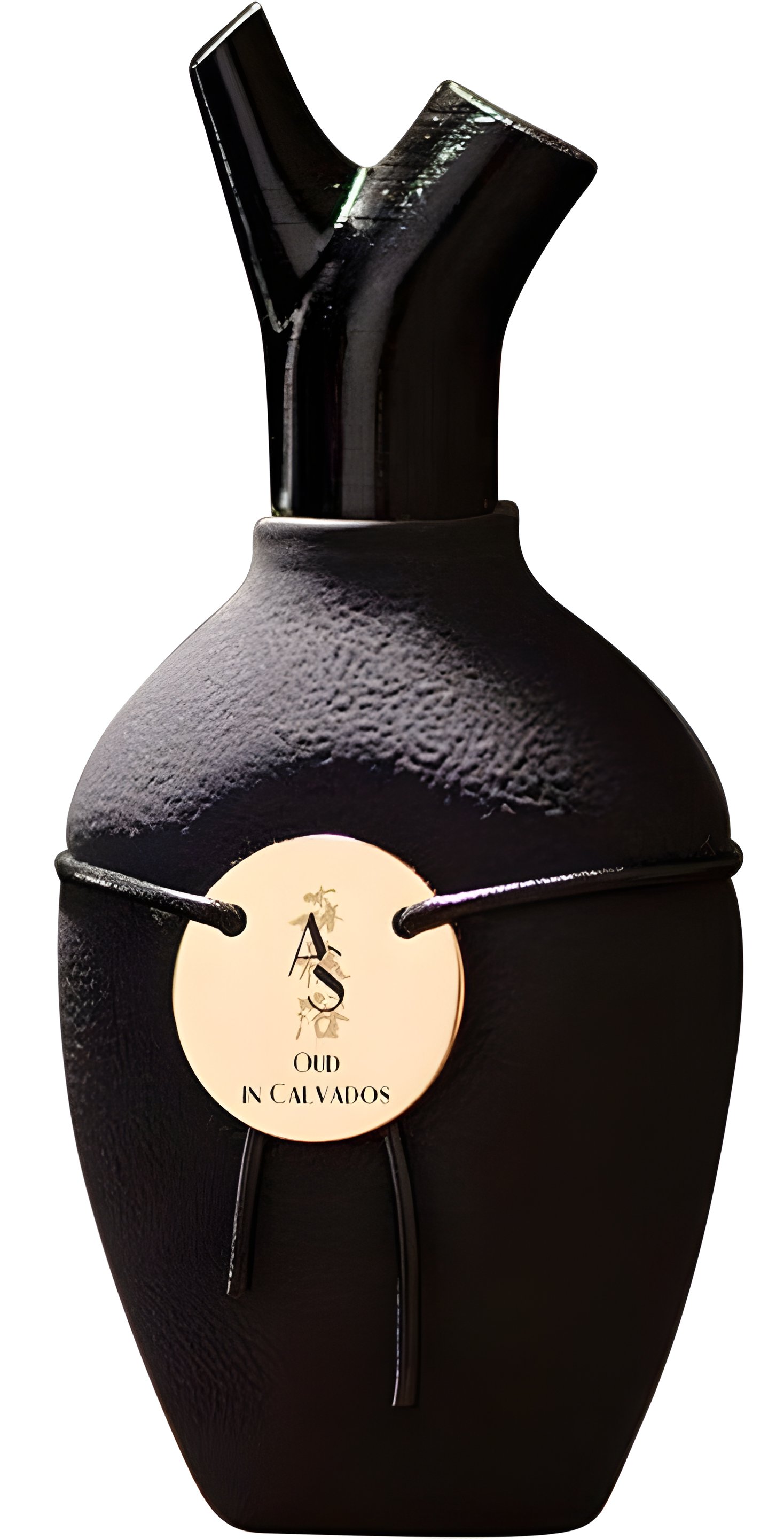 Picture of Oud in Calvados fragrance