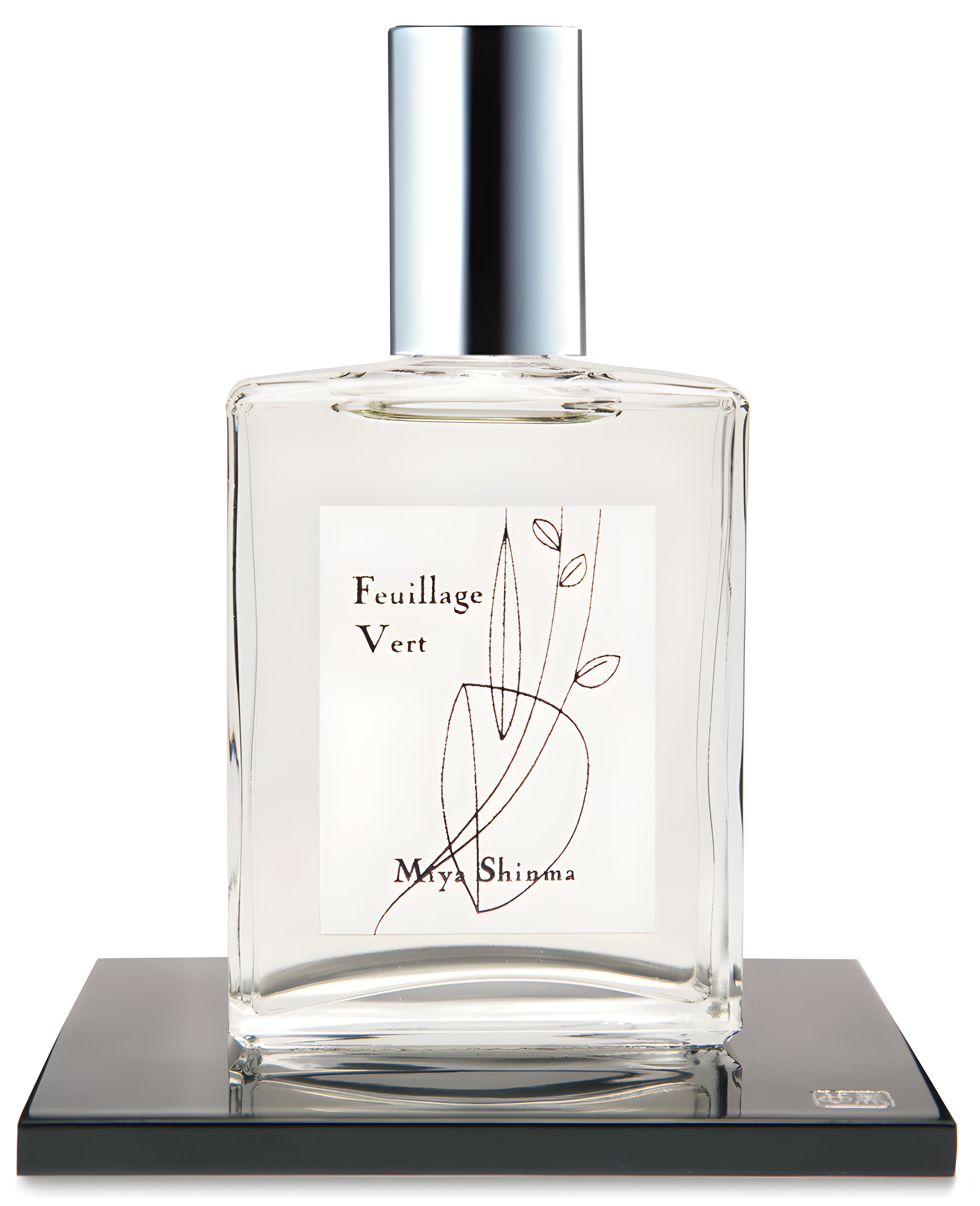 Picture of Feuillage Vert fragrance