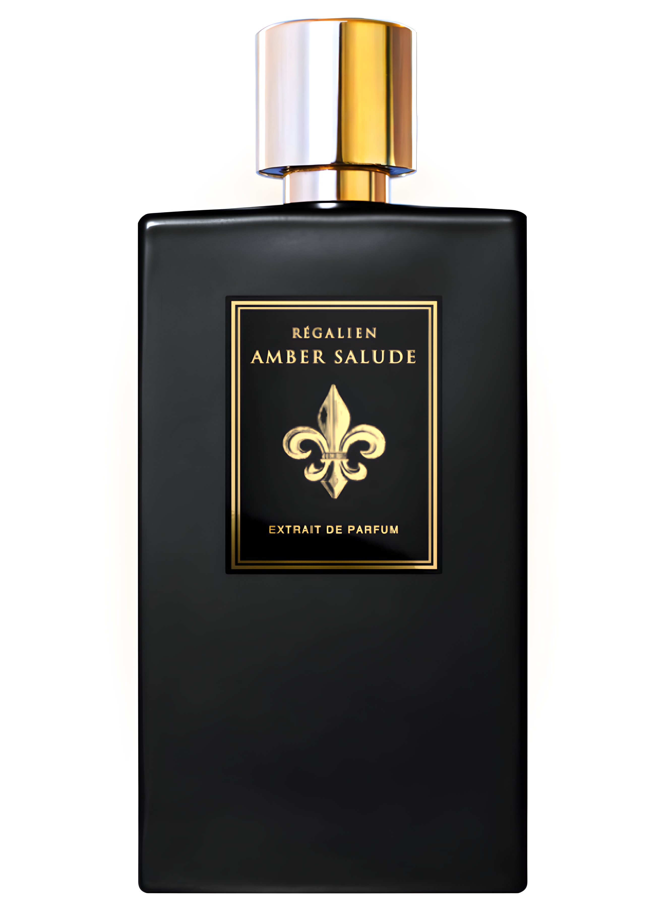 Picture of Amber Salude fragrance