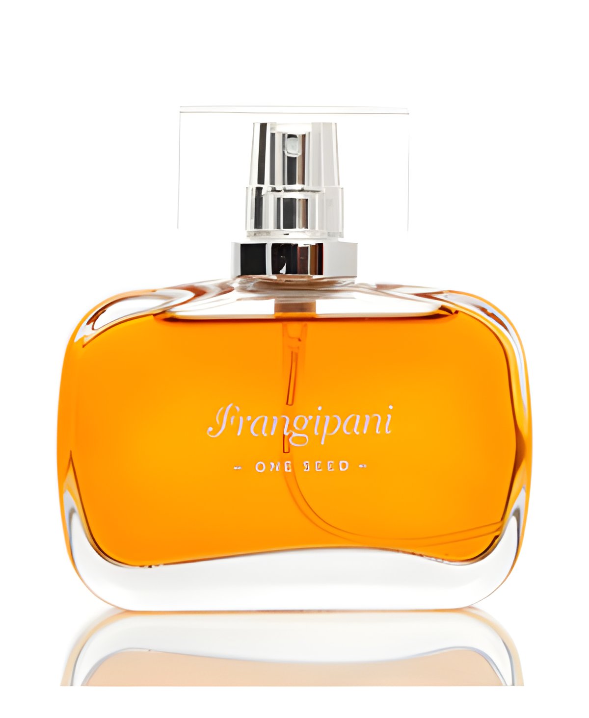 Picture of Frangipani fragrance