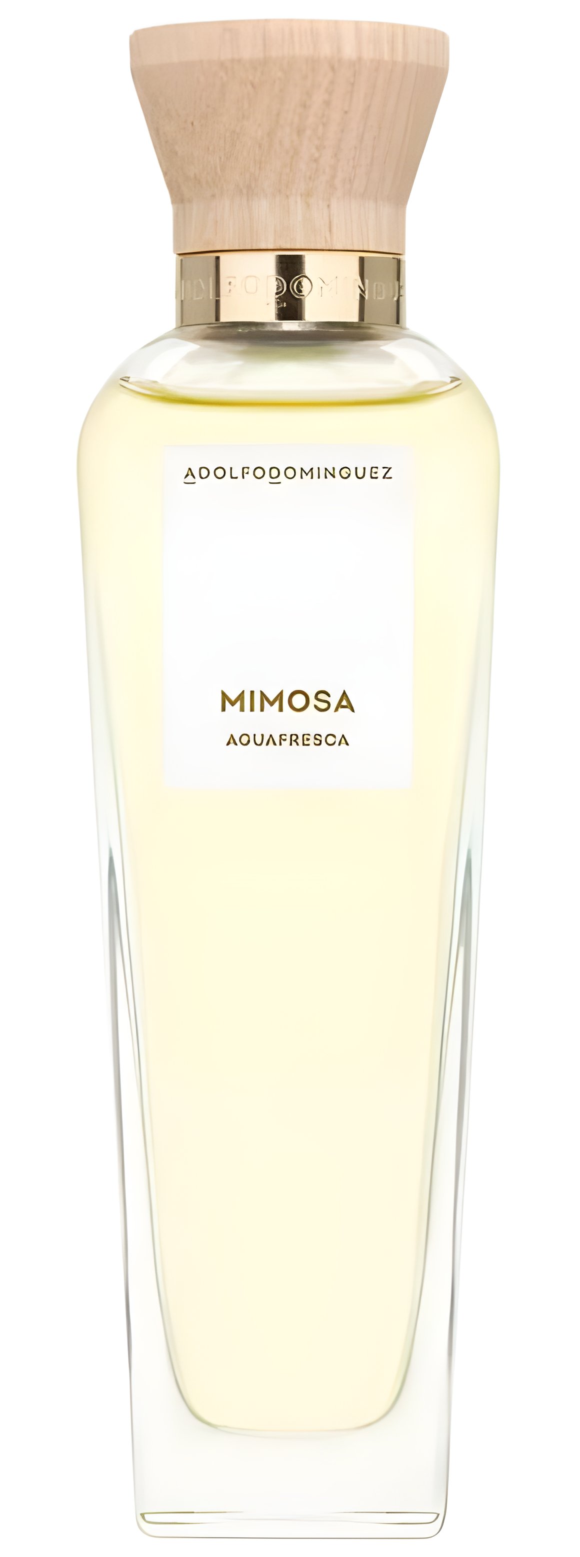 Picture of Agua Fresca de Mimosa Coriandro fragrance