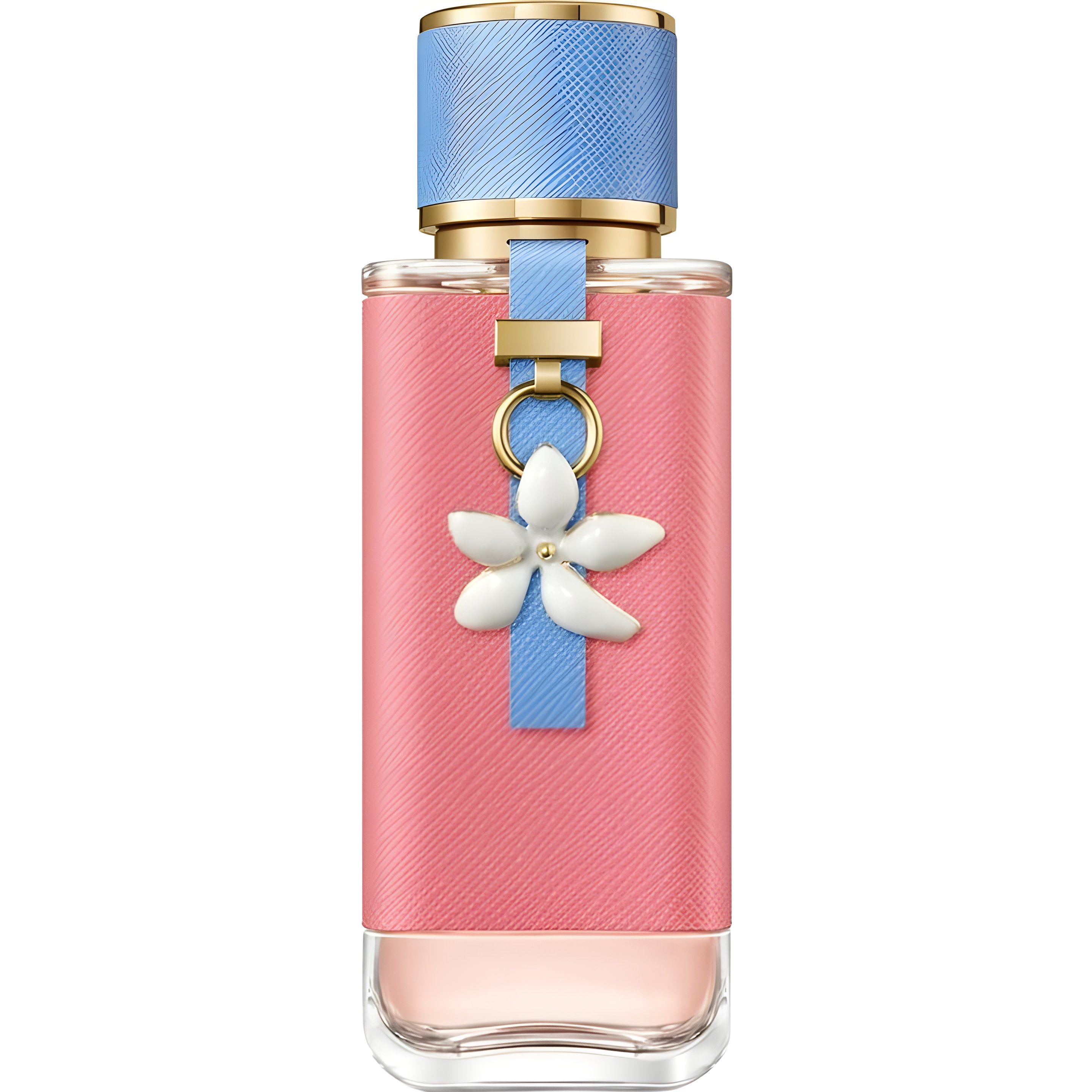 Picture of Alegria de Vivir fragrance