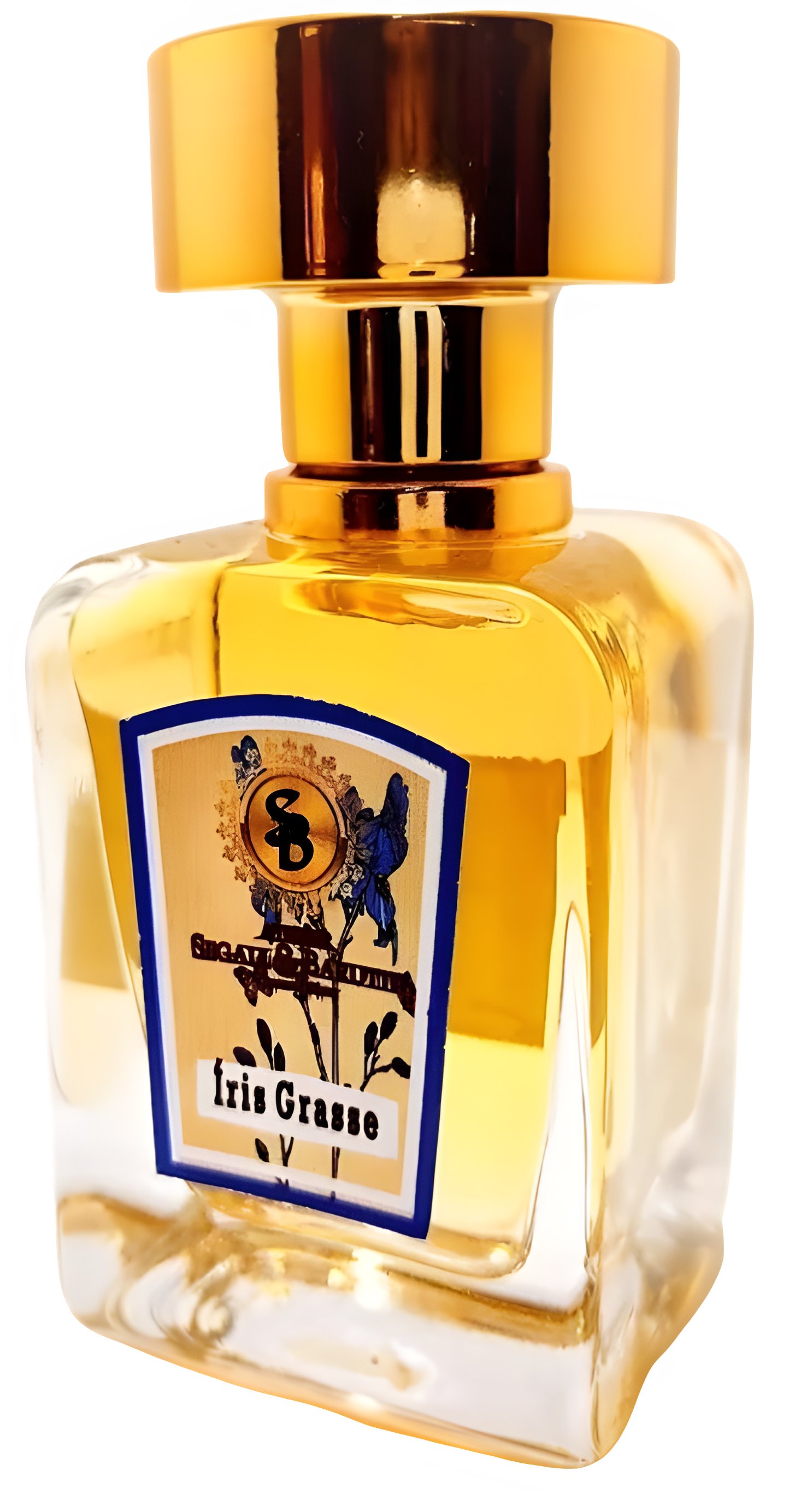 Picture of Íris Grasse fragrance