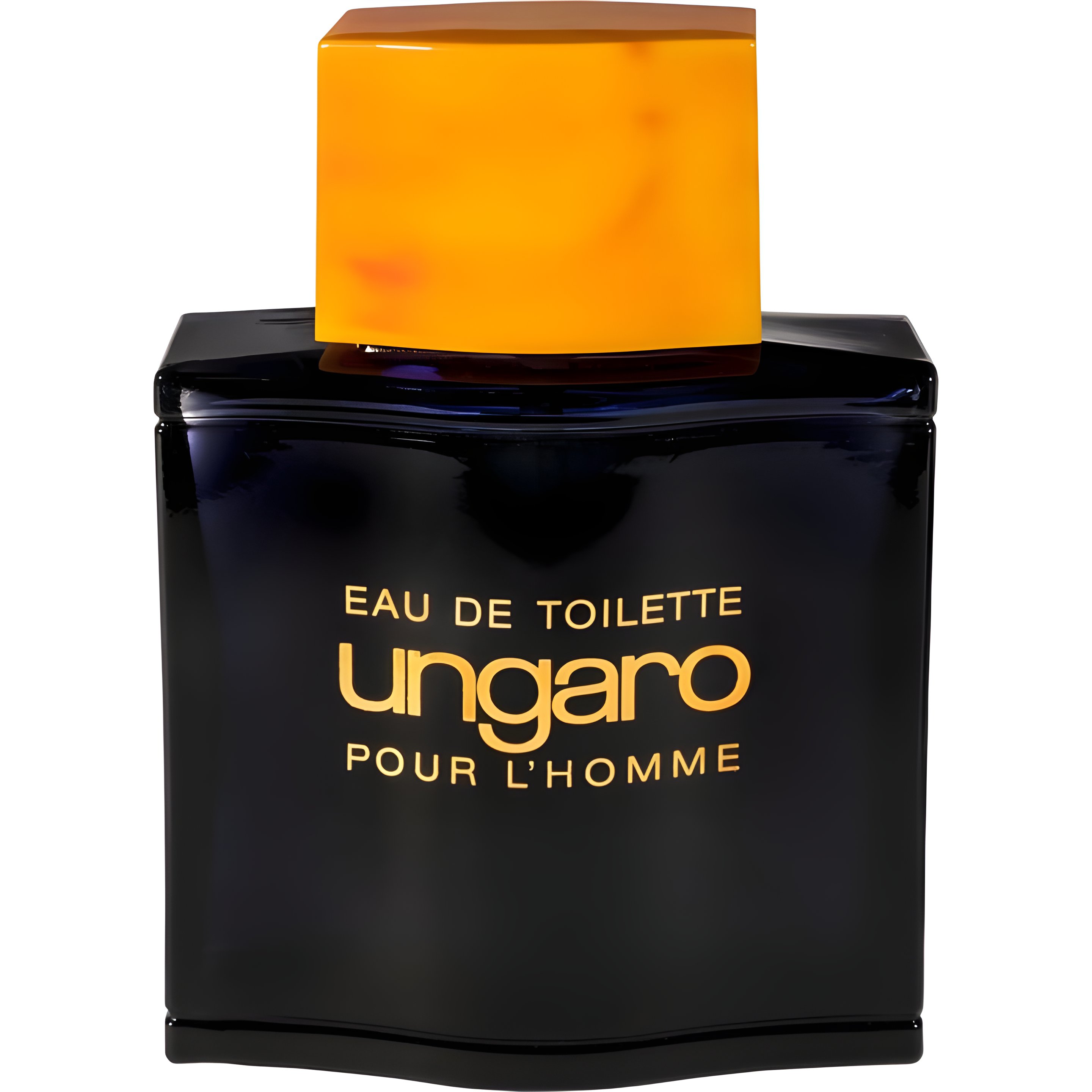 Picture of Ungaro Pour L'Homme II fragrance