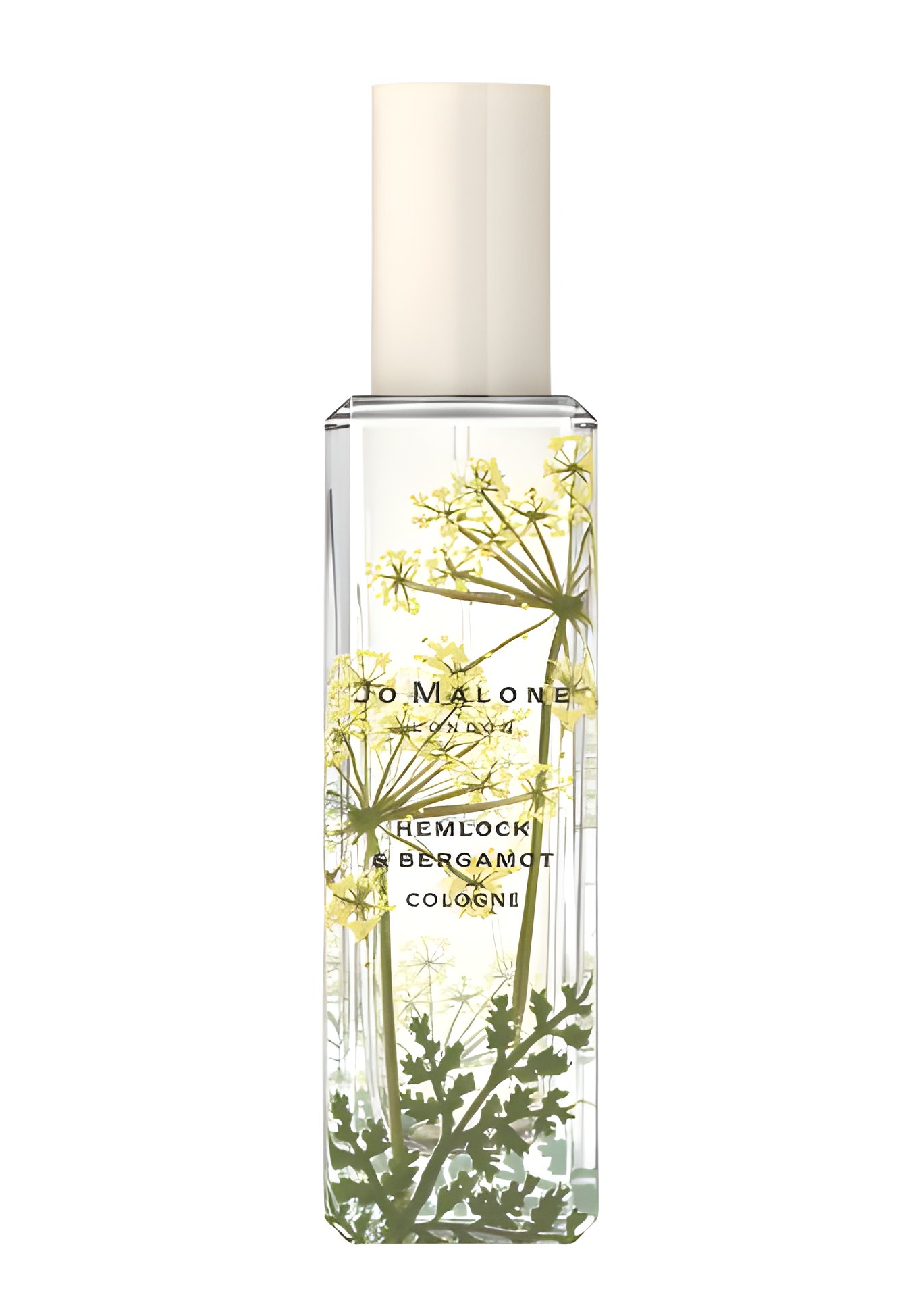 Picture of Hemlock & Bergamot fragrance