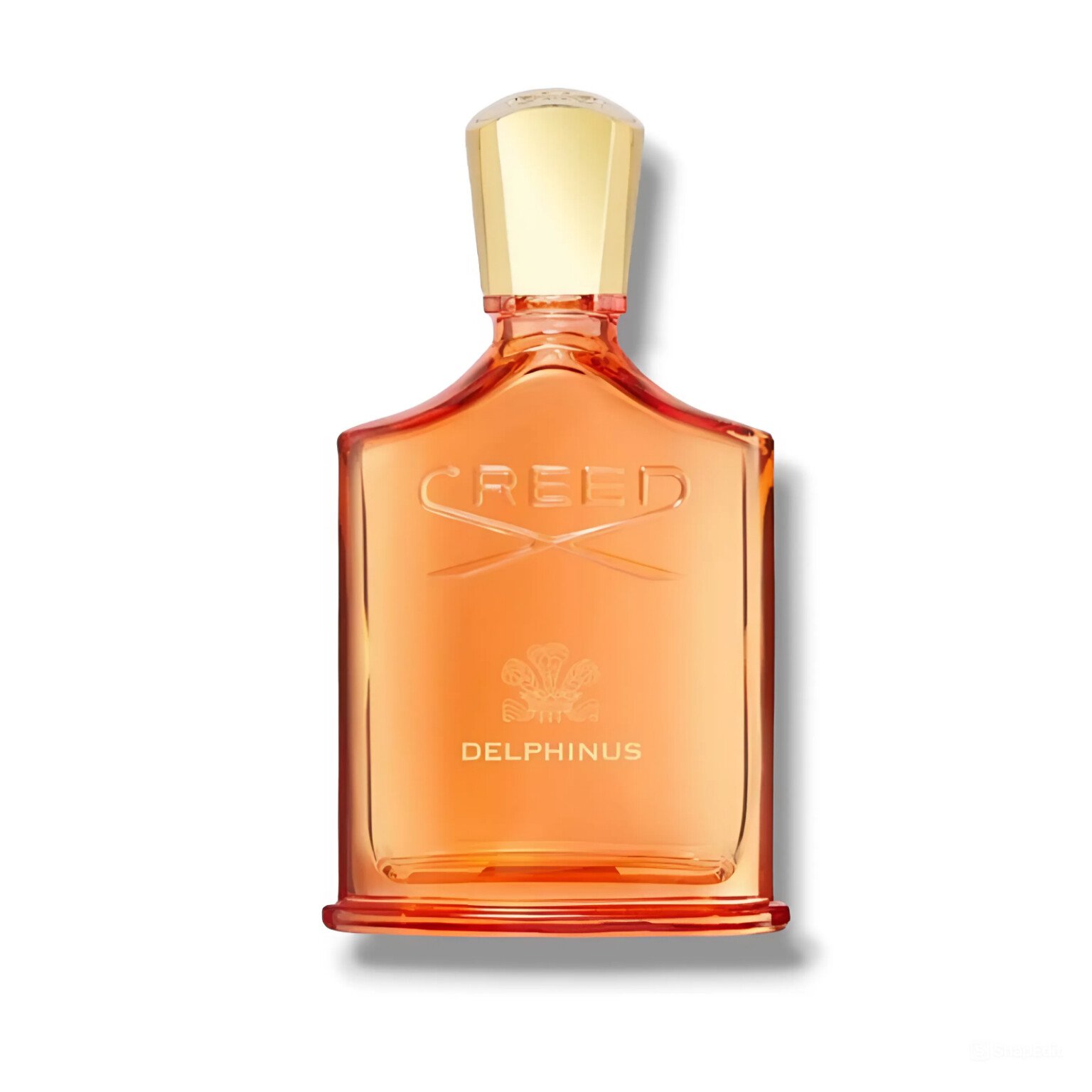 Picture of Delphinus fragrance