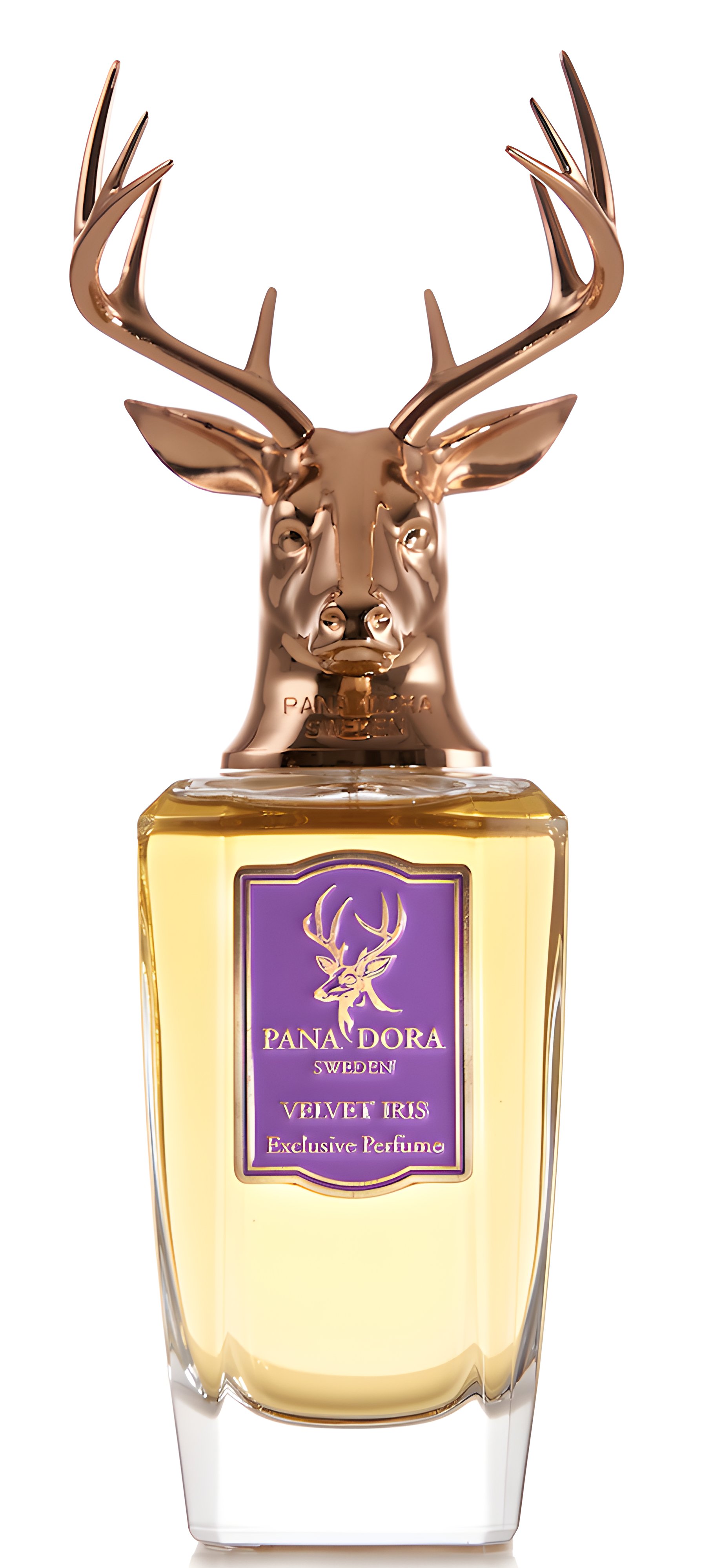 Picture of Velvet Iris fragrance