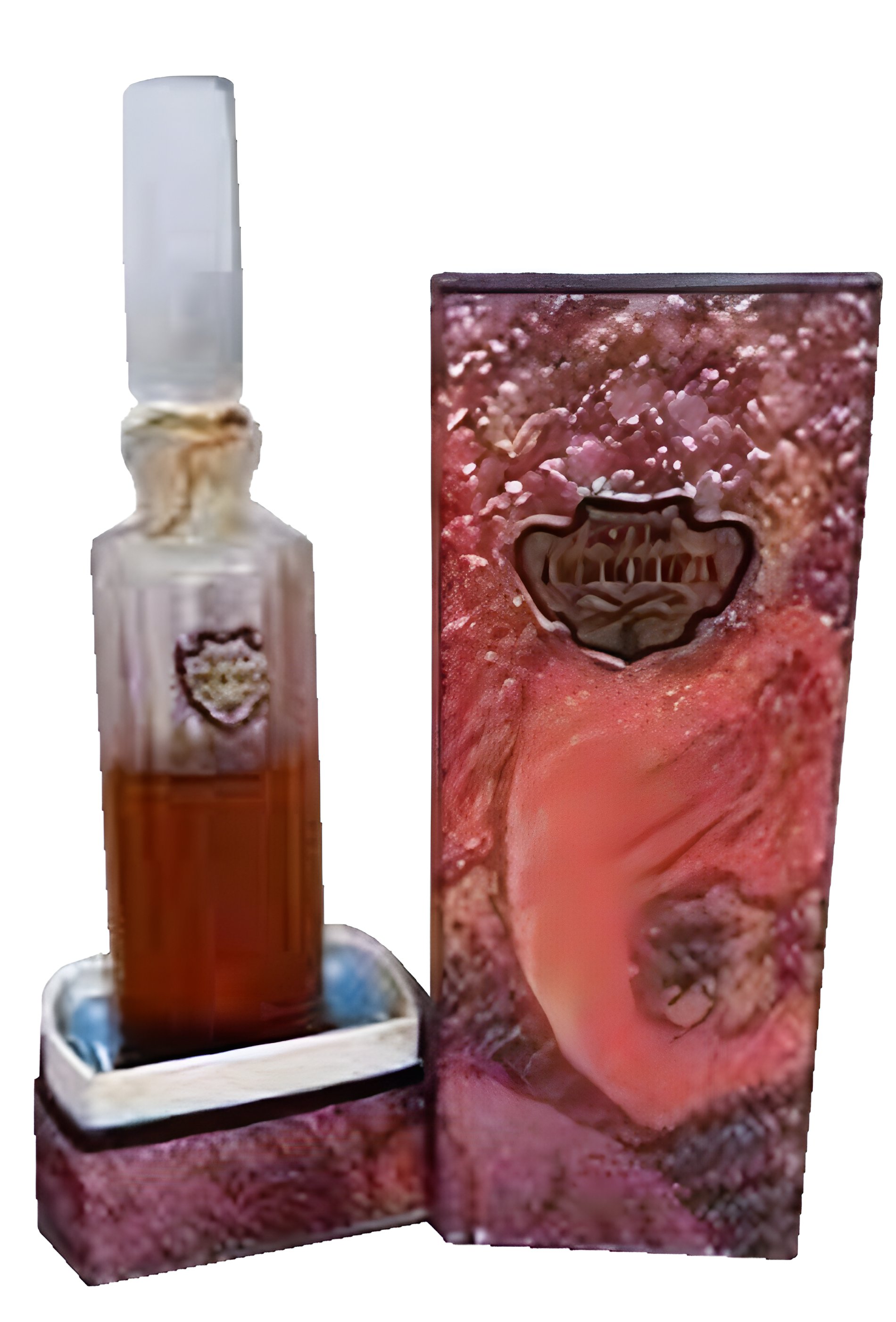 Picture of Полонез fragrance