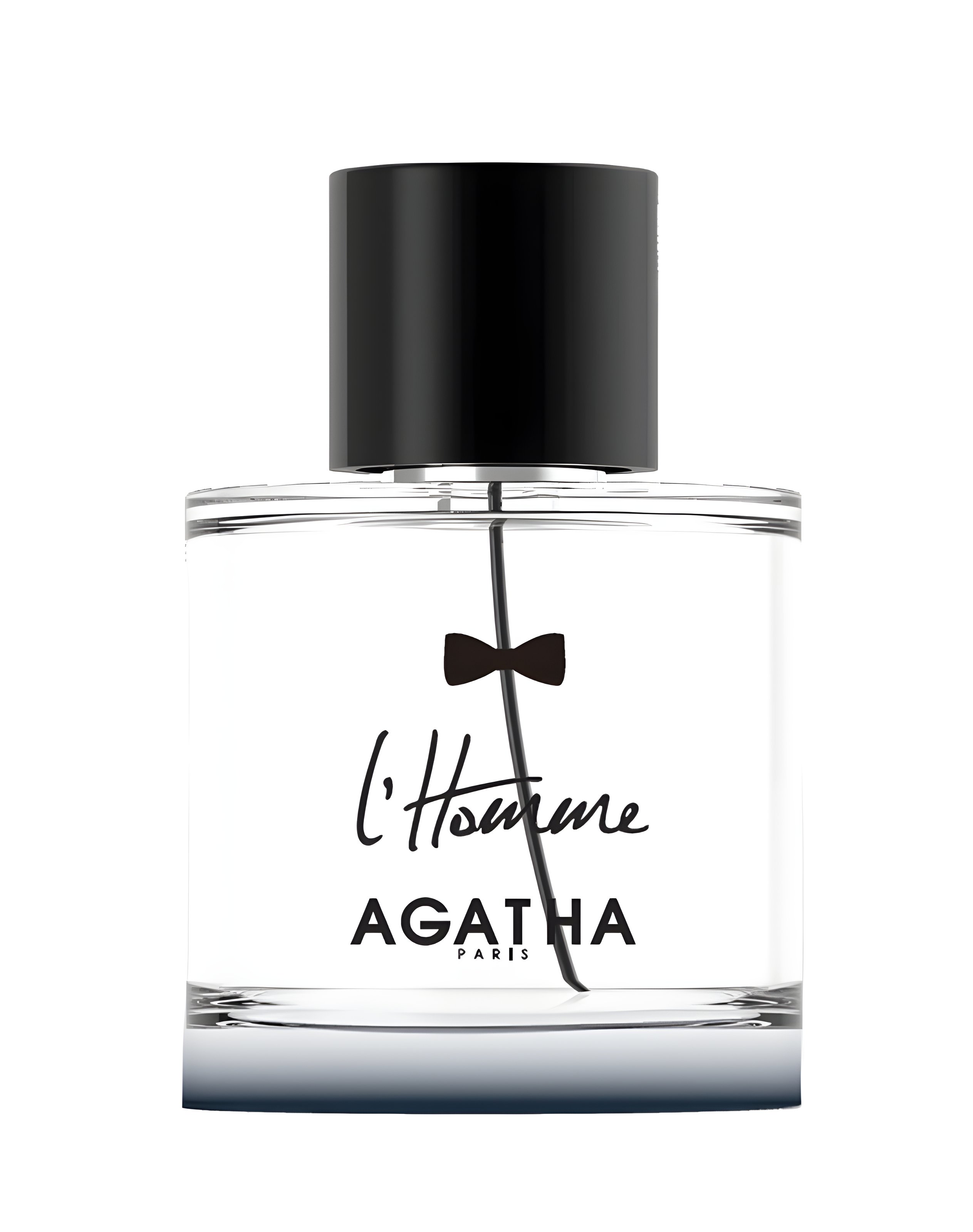 Picture of L'Homme Eau de Parfum fragrance