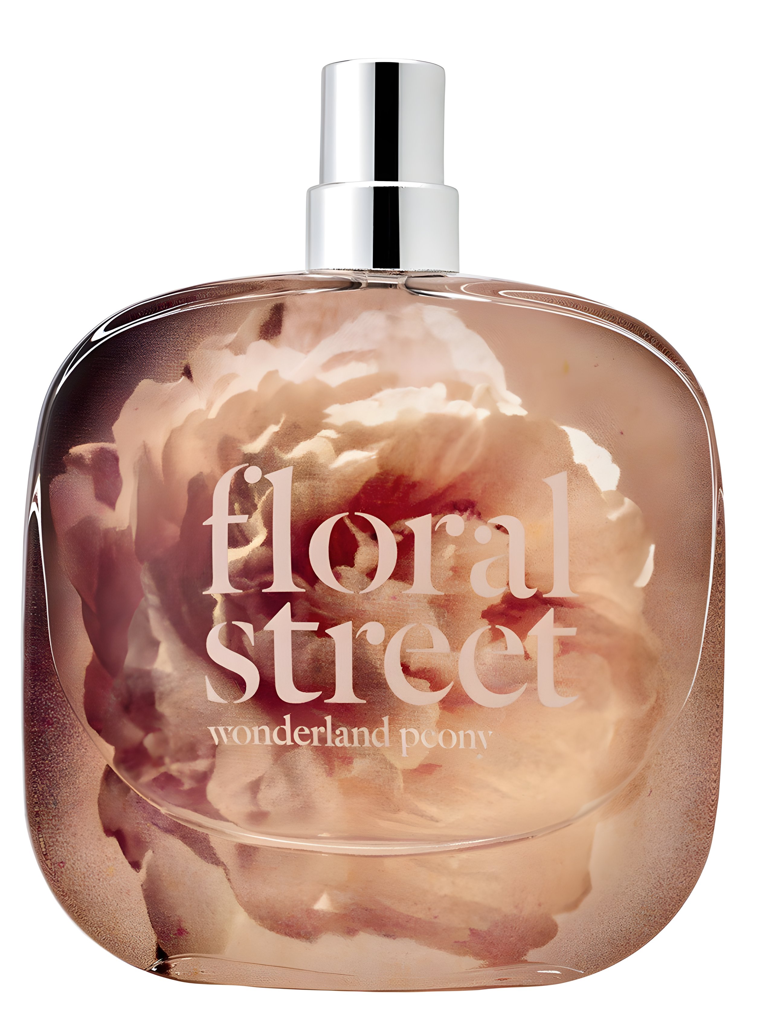 Picture of Wonderland Peony fragrance