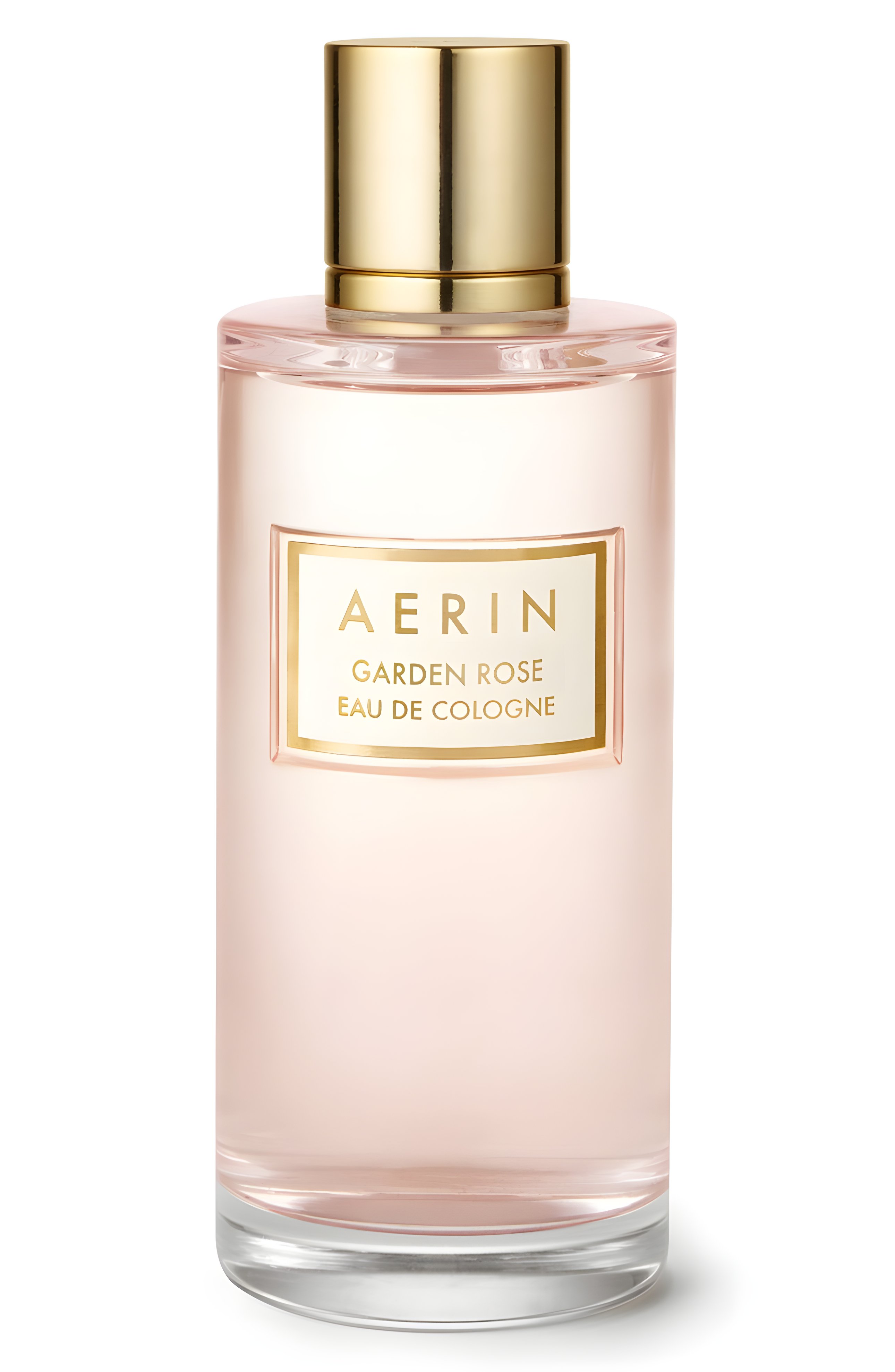 Picture of Garden Rose Eau de Cologne fragrance