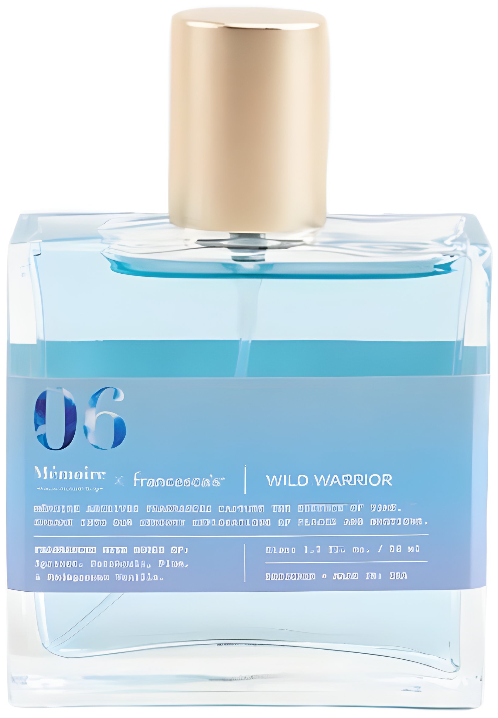 Picture of 06 Wild Warrior fragrance