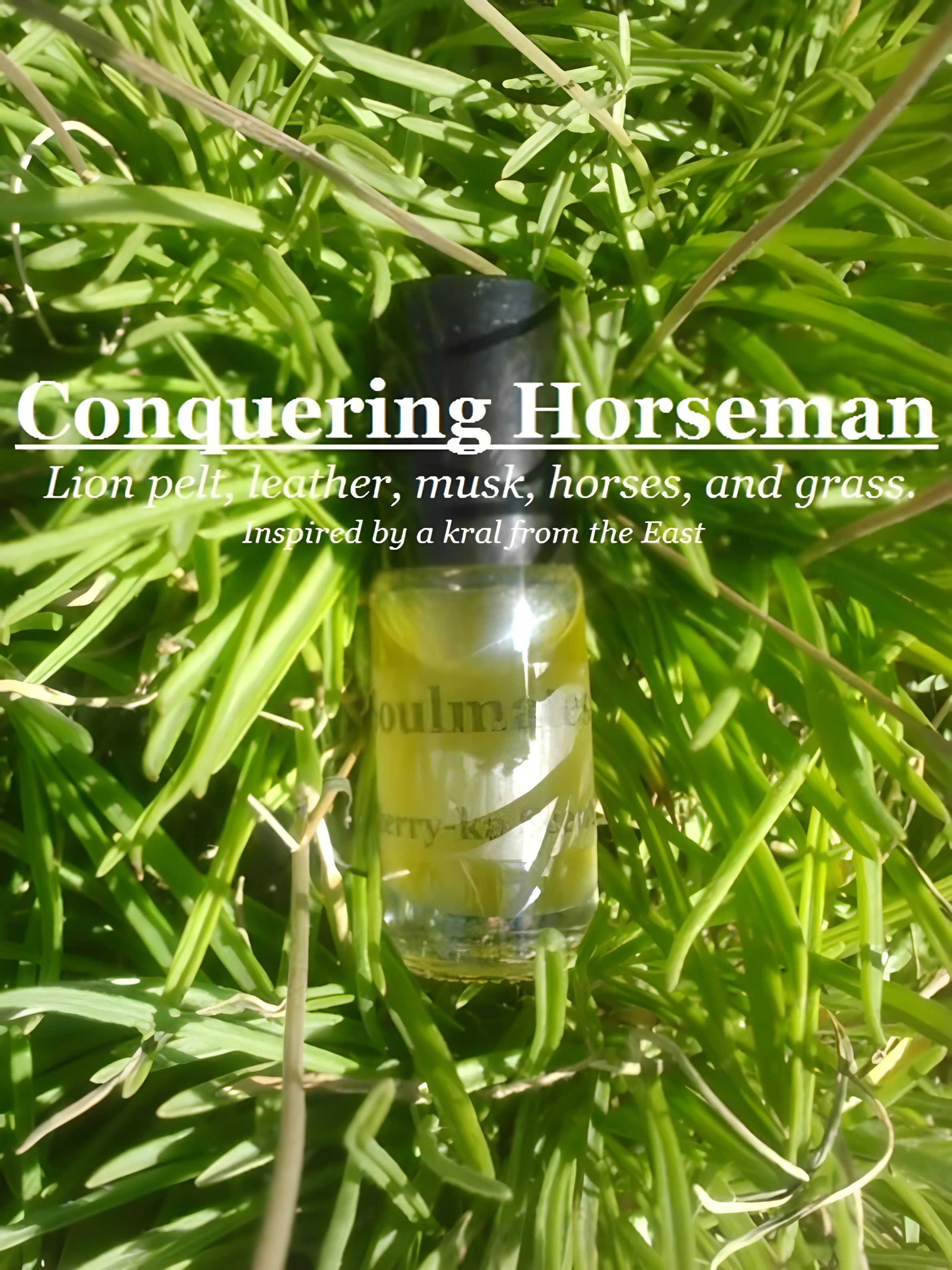 Picture of Conquering Horseman fragrance