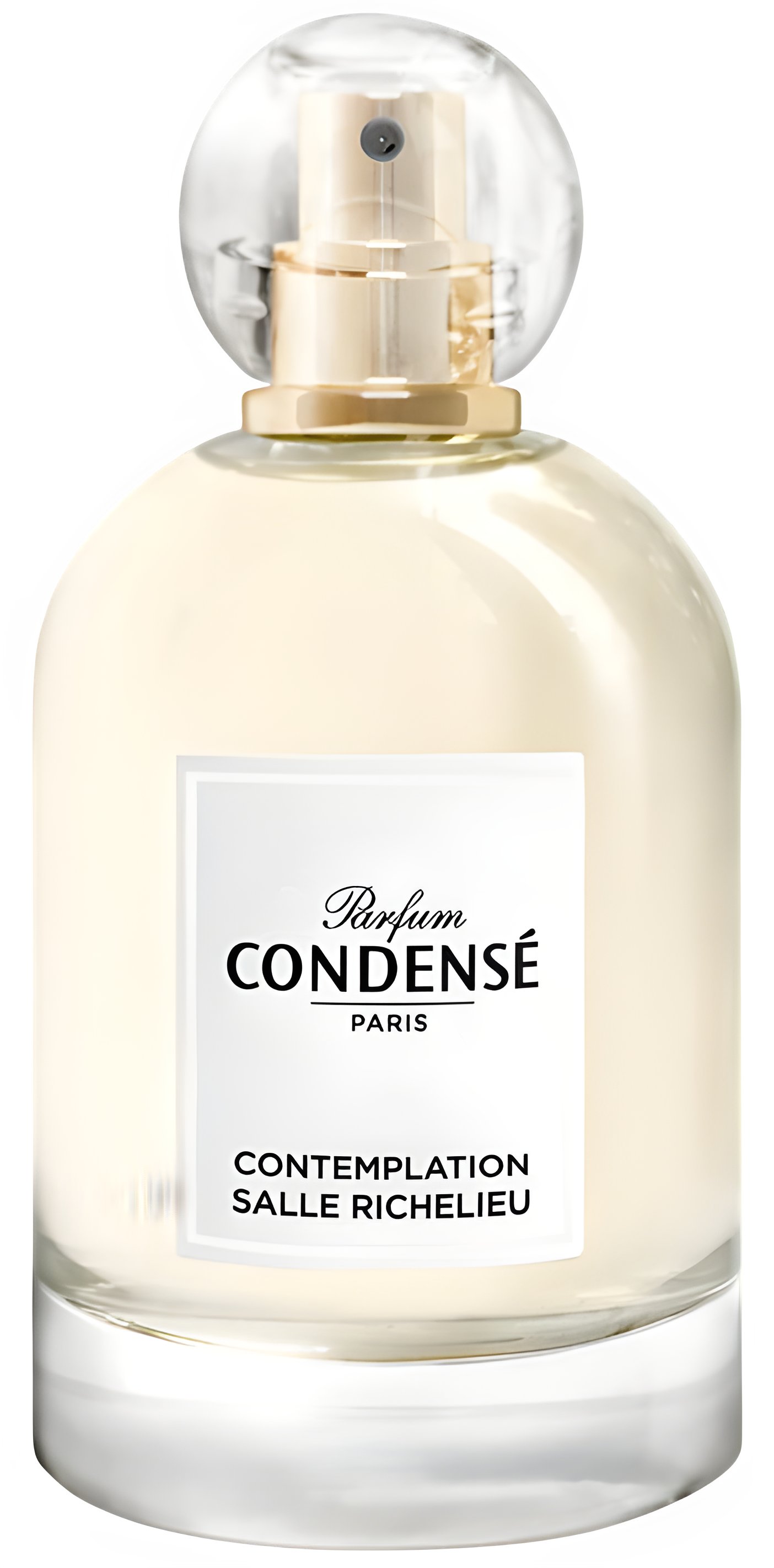 Picture of Contemplation Salle Richelieu fragrance