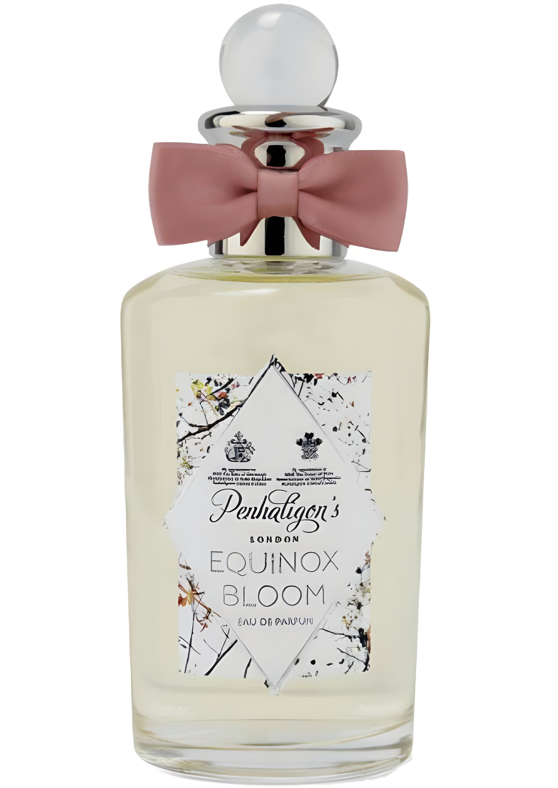 Picture of Equinox Bloom fragrance