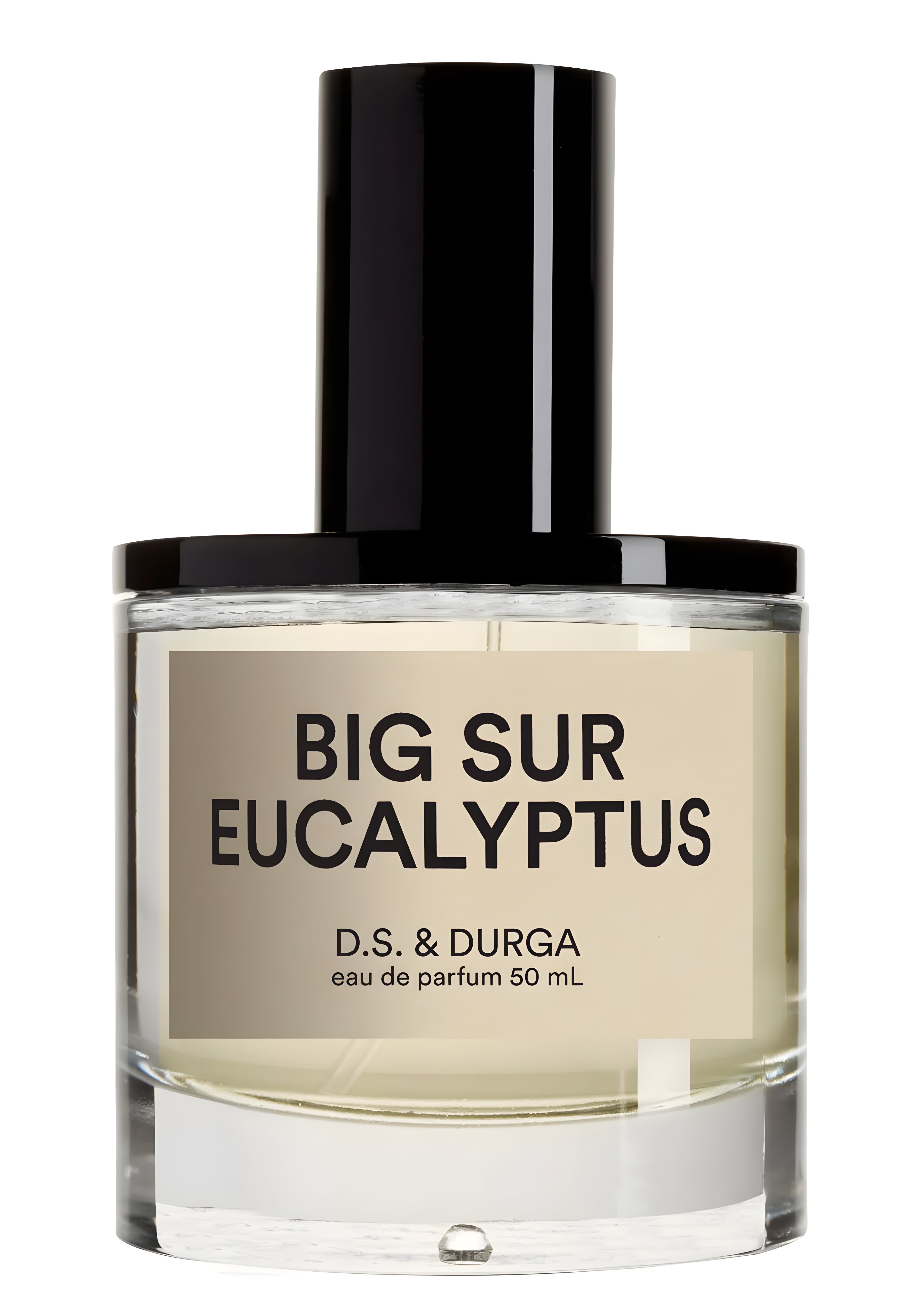 Picture of Big Sur Eucalyptus fragrance