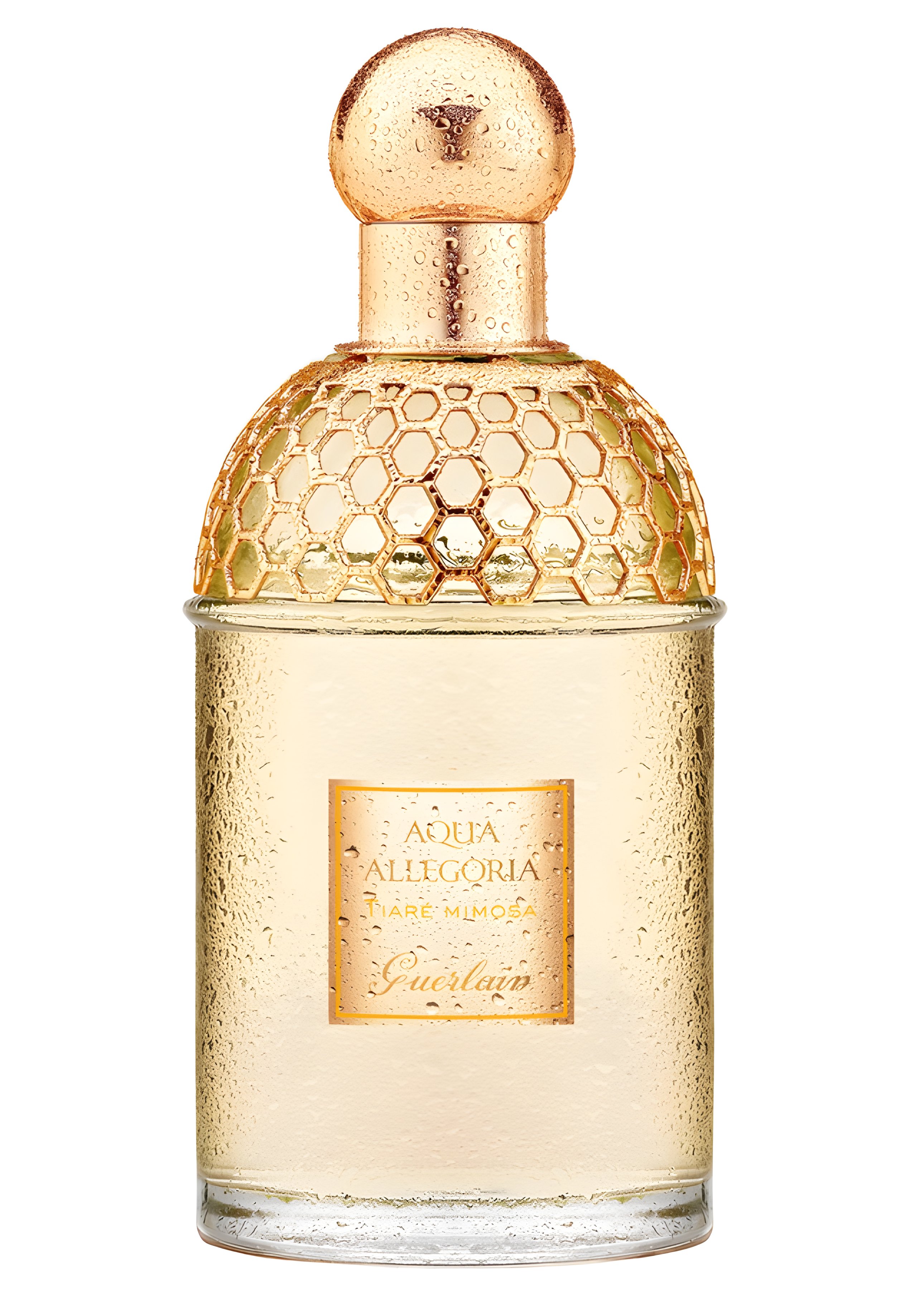 Picture of Aqua Allegoria Tiare Mimosa fragrance