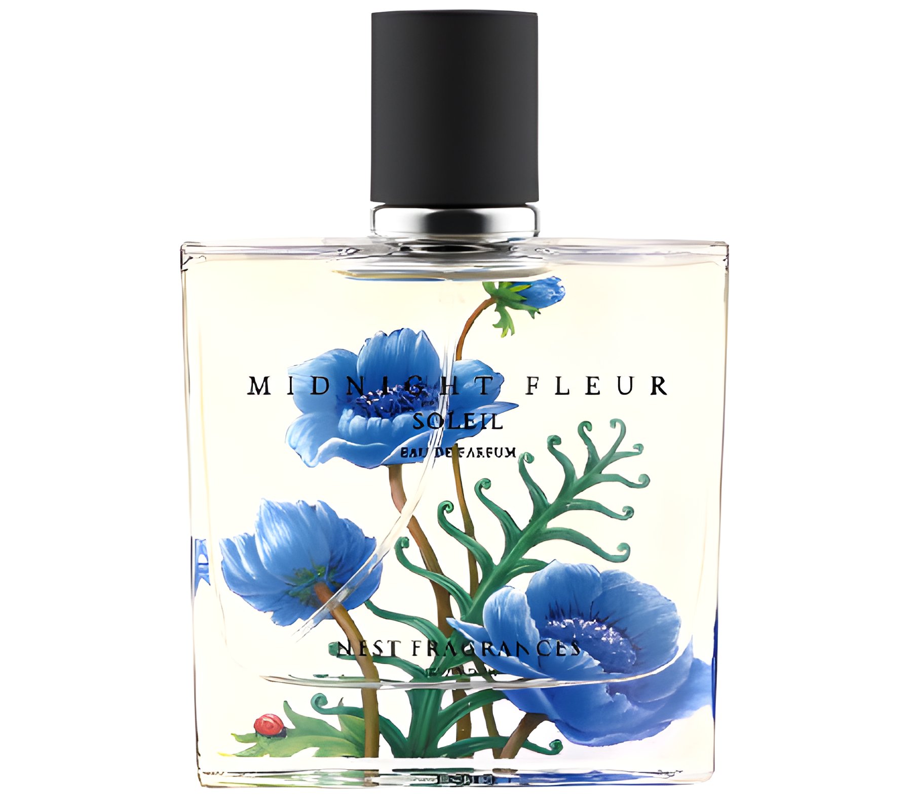 Picture of Midnight Fleur Soleil fragrance