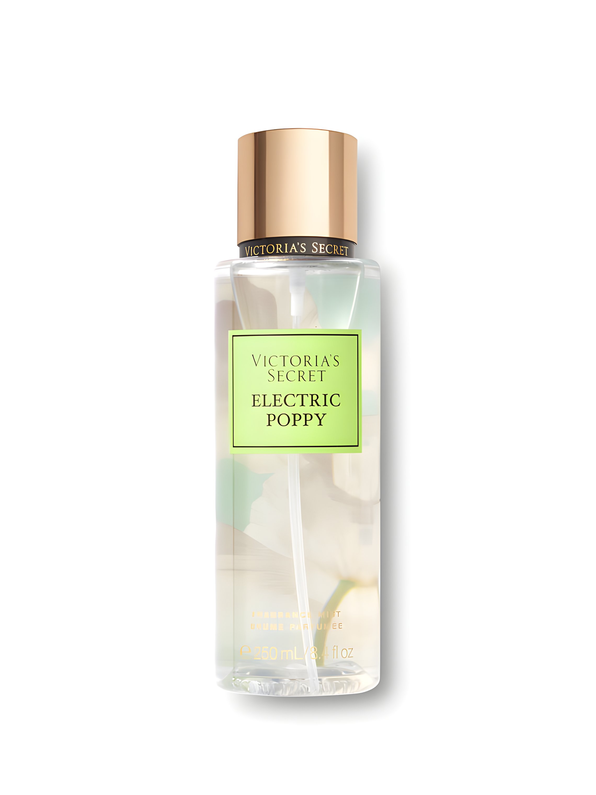 Picture of Electric Poppy fragrance