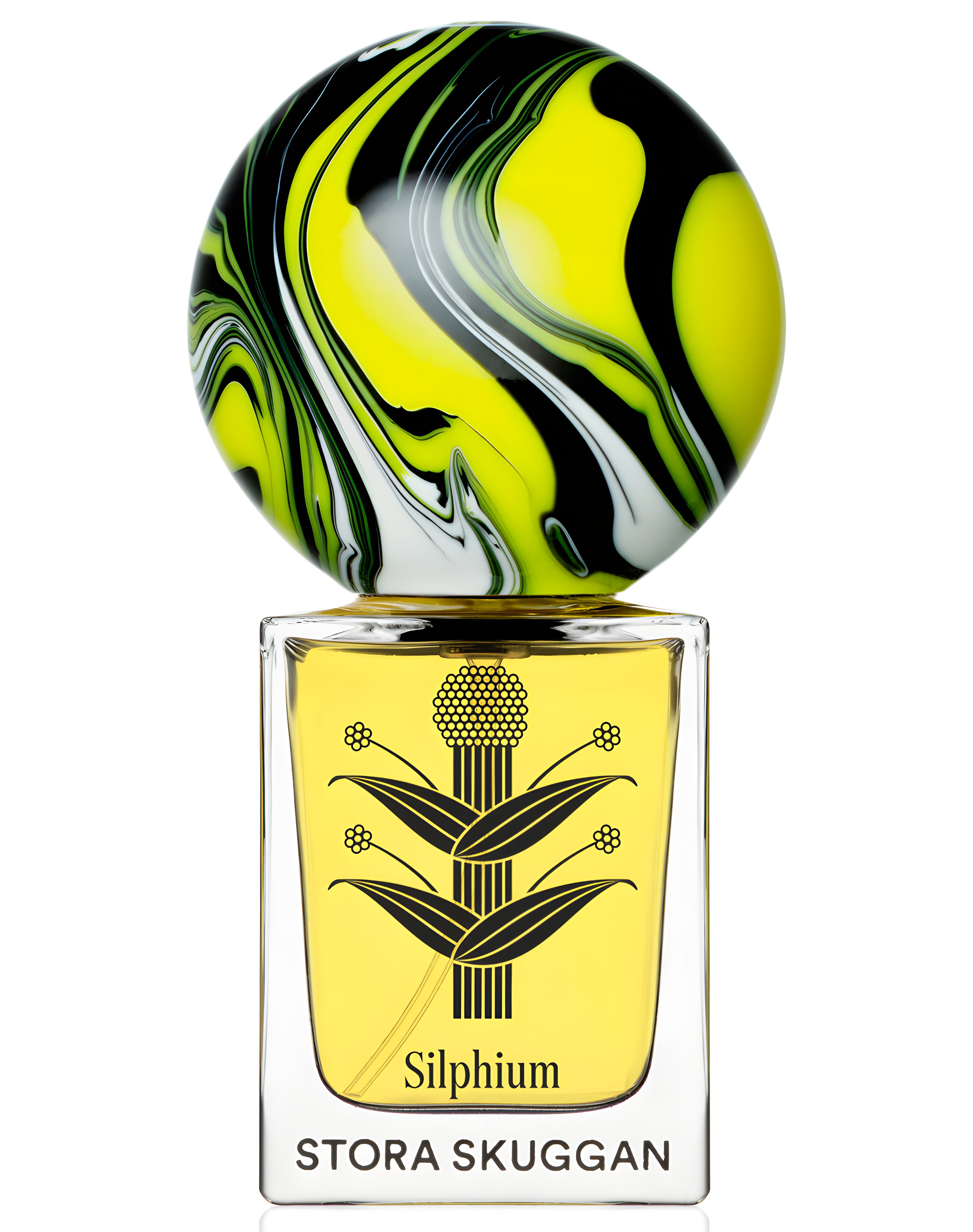 Picture of Silphium fragrance