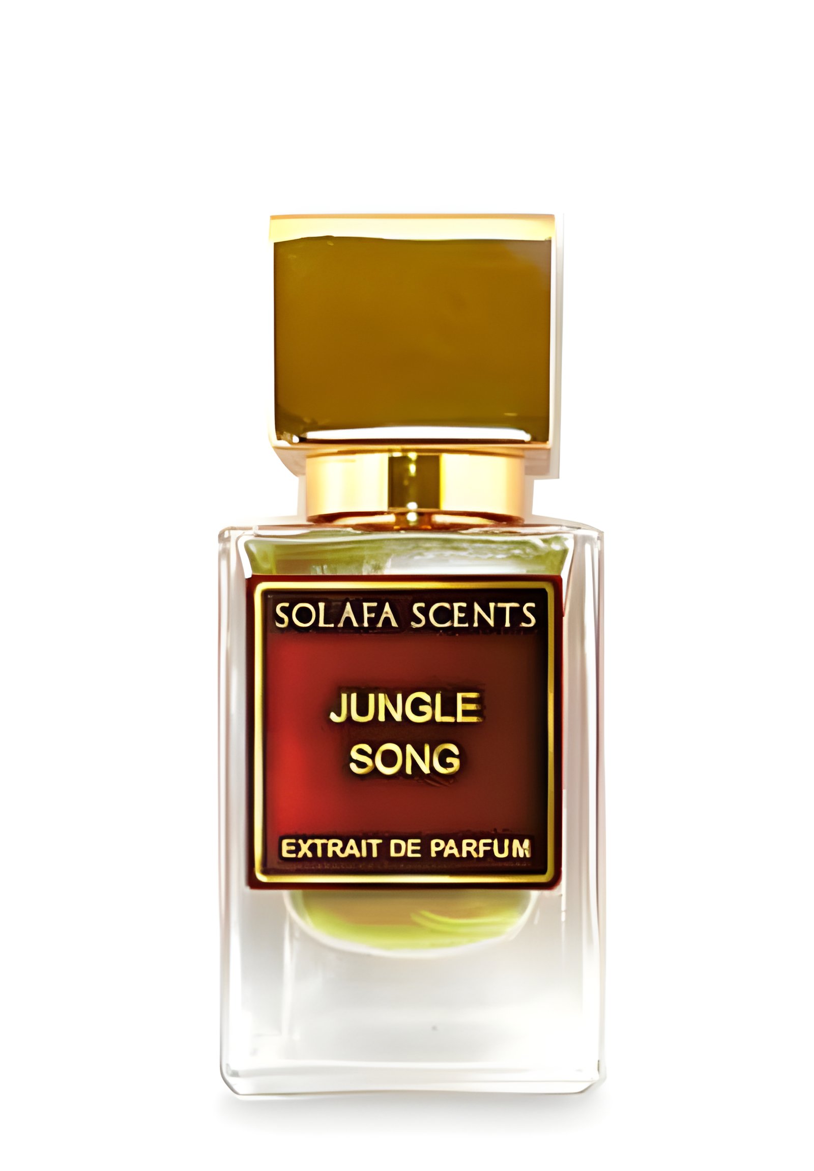 Picture of Jungle Song fragrance