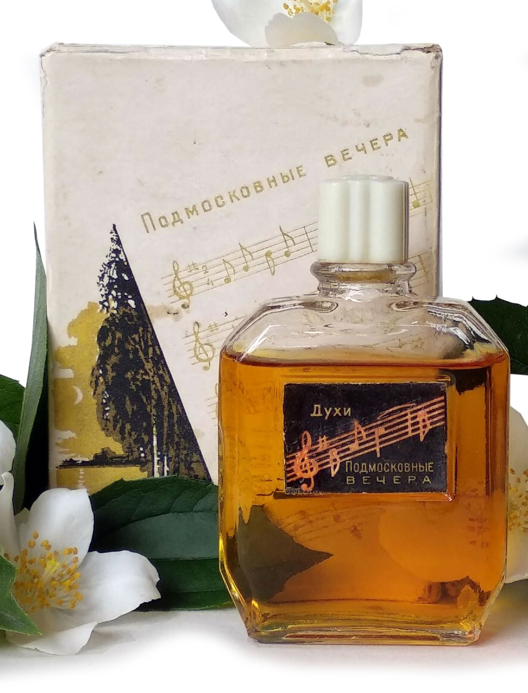 Picture of Подмосковные Вечера (Podmoskovnye Vechera) fragrance