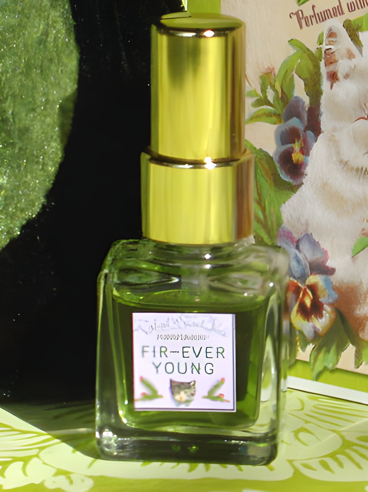 Picture of Fir-Ever Young fragrance