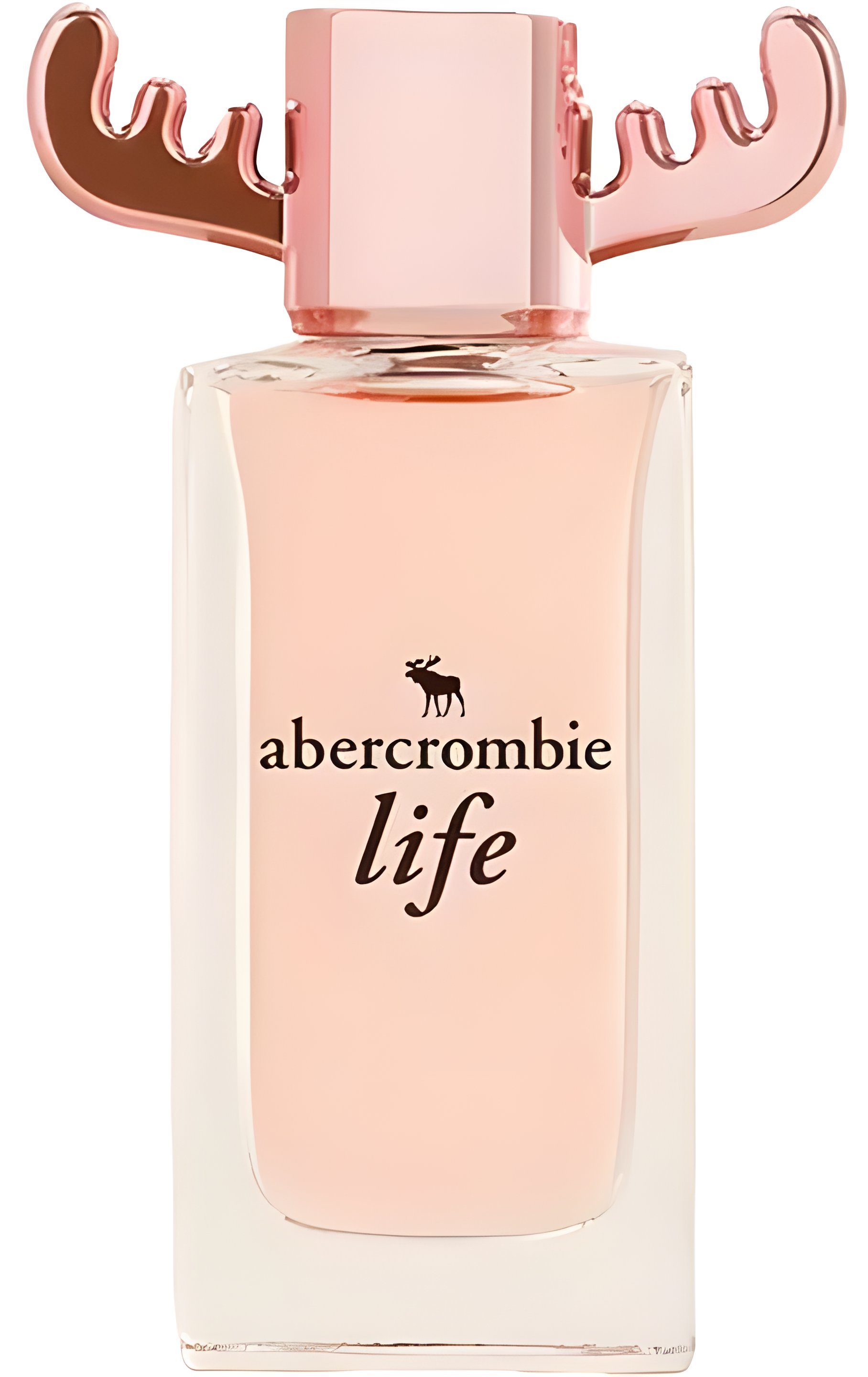 Picture of Life fragrance