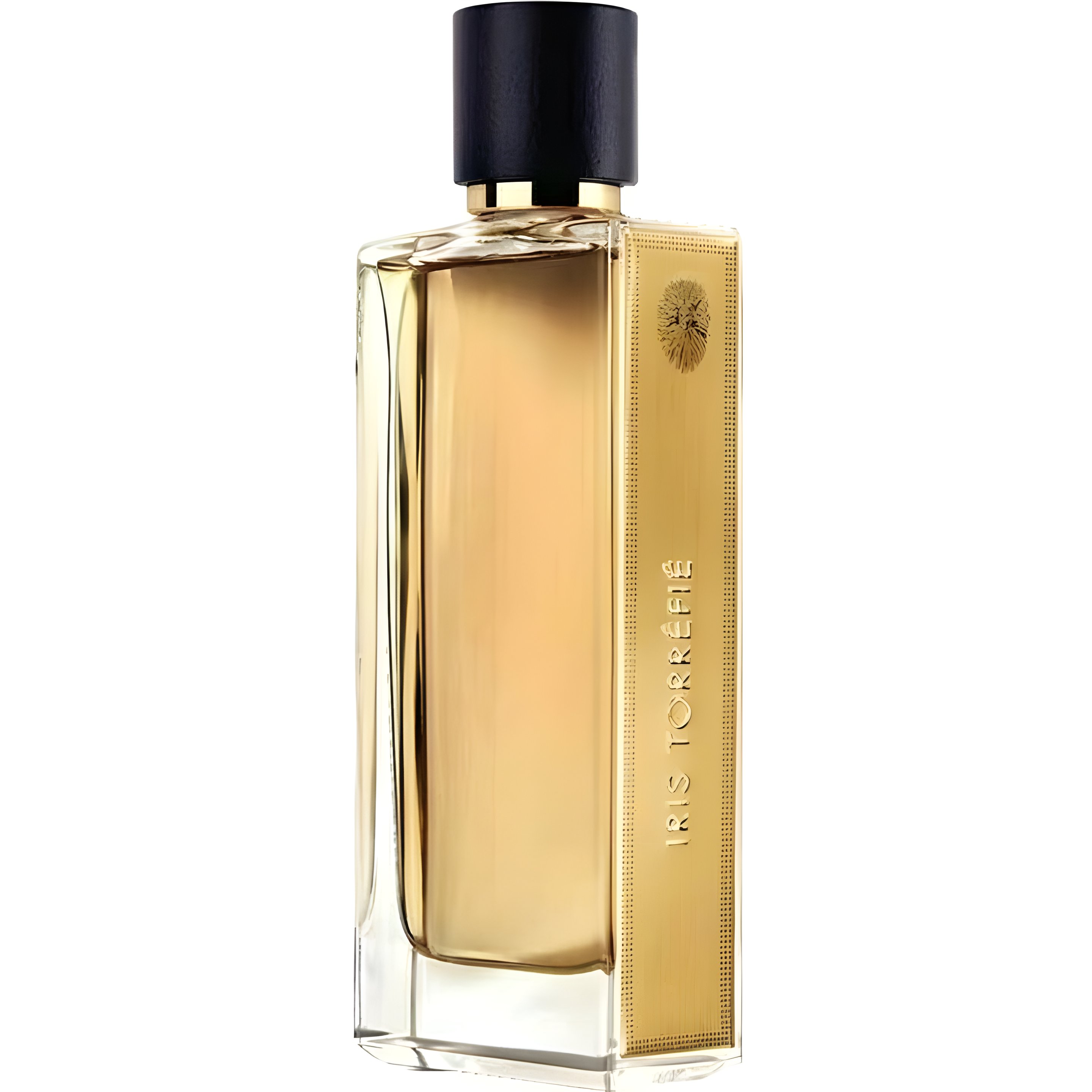 Picture of Iris Torréfié fragrance