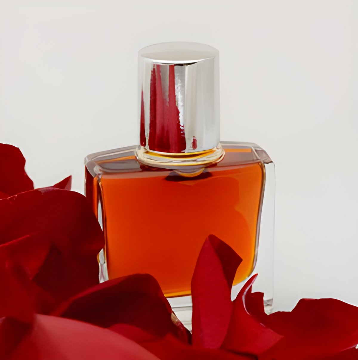 Picture of Dark Moon Rose fragrance