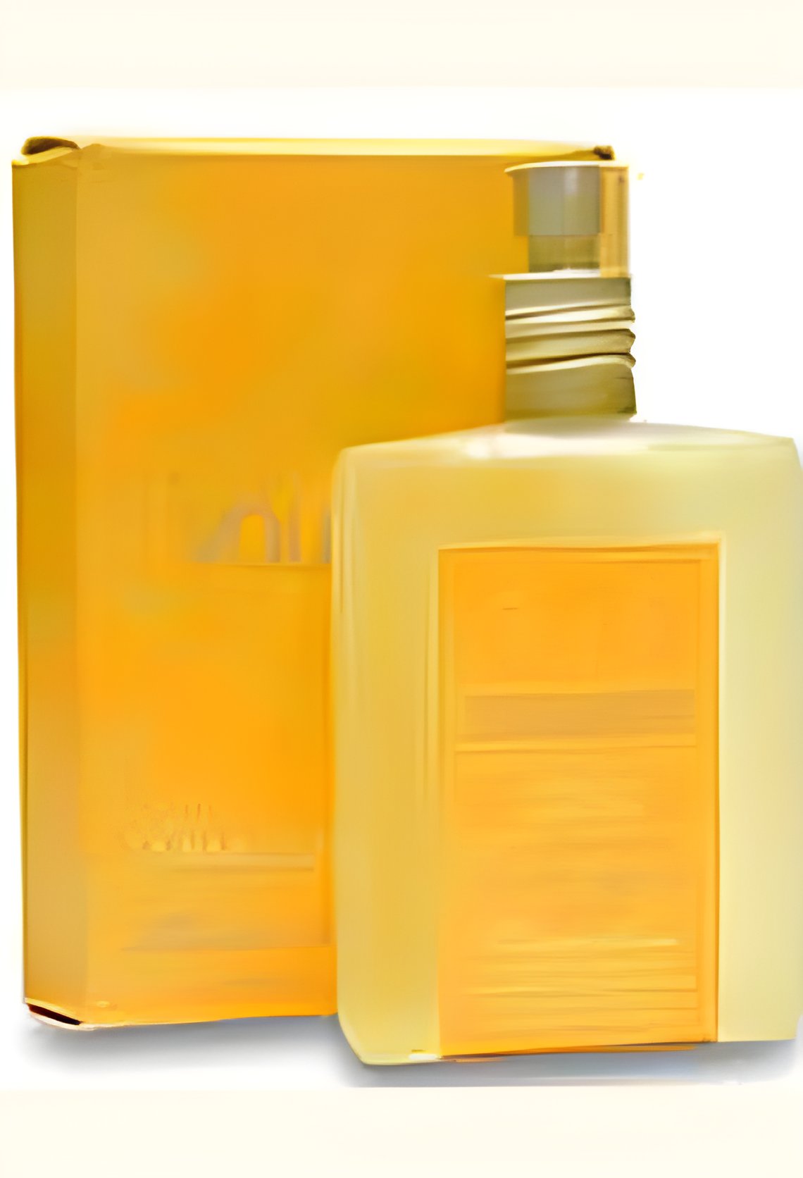 Picture of Mimosa Martini fragrance