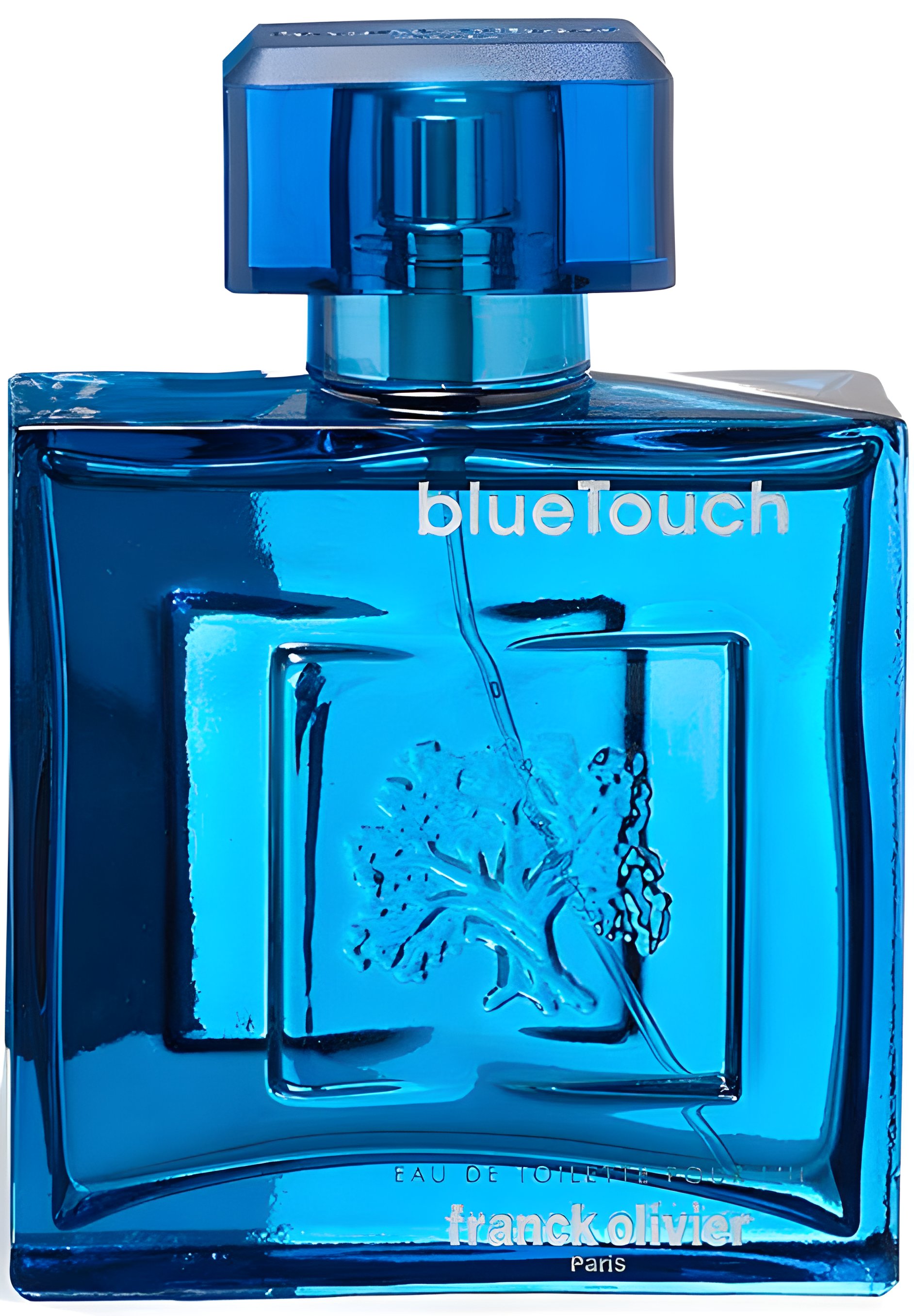 Picture of Blue Touch fragrance