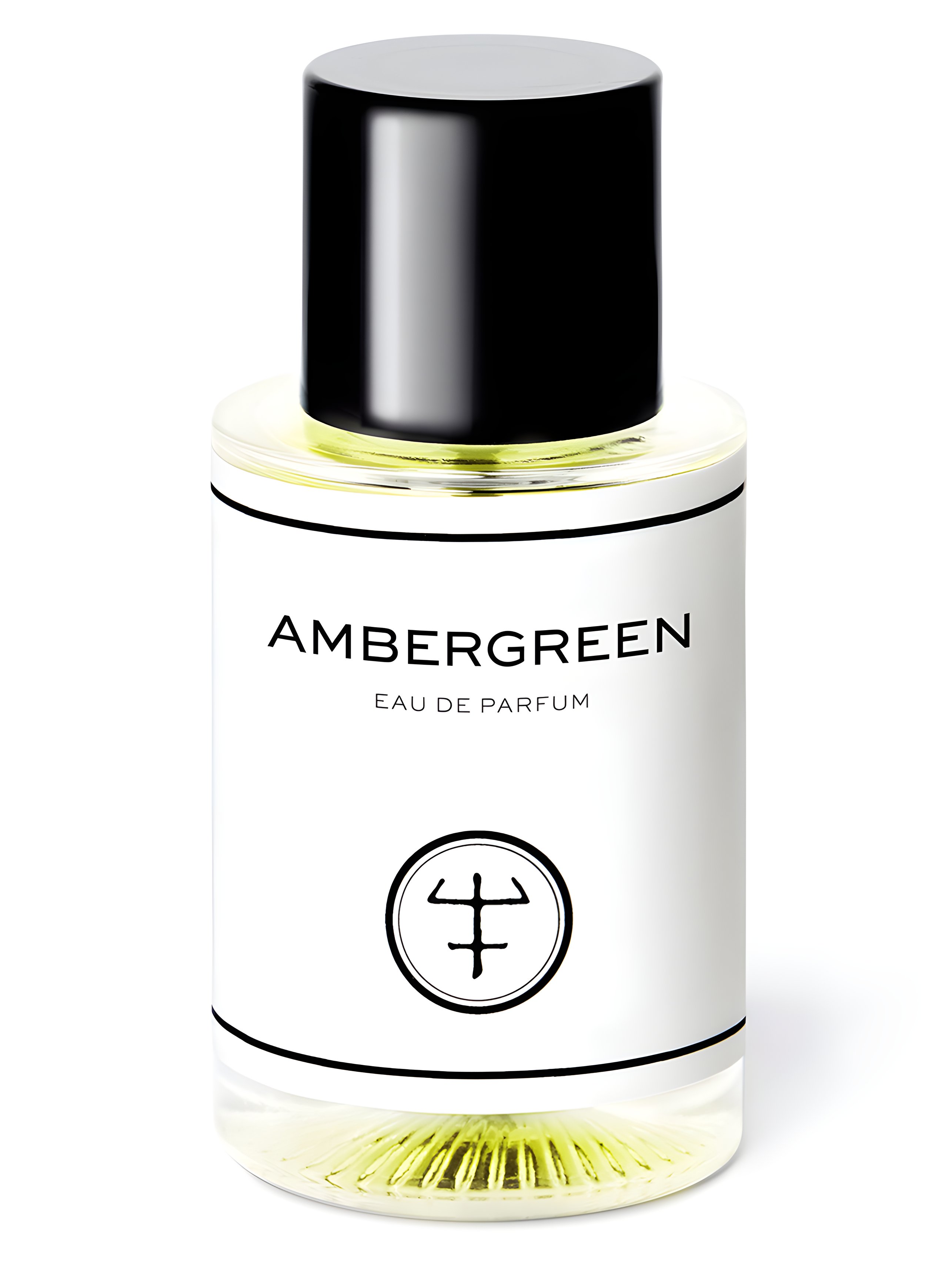 Picture of Ambergreen fragrance