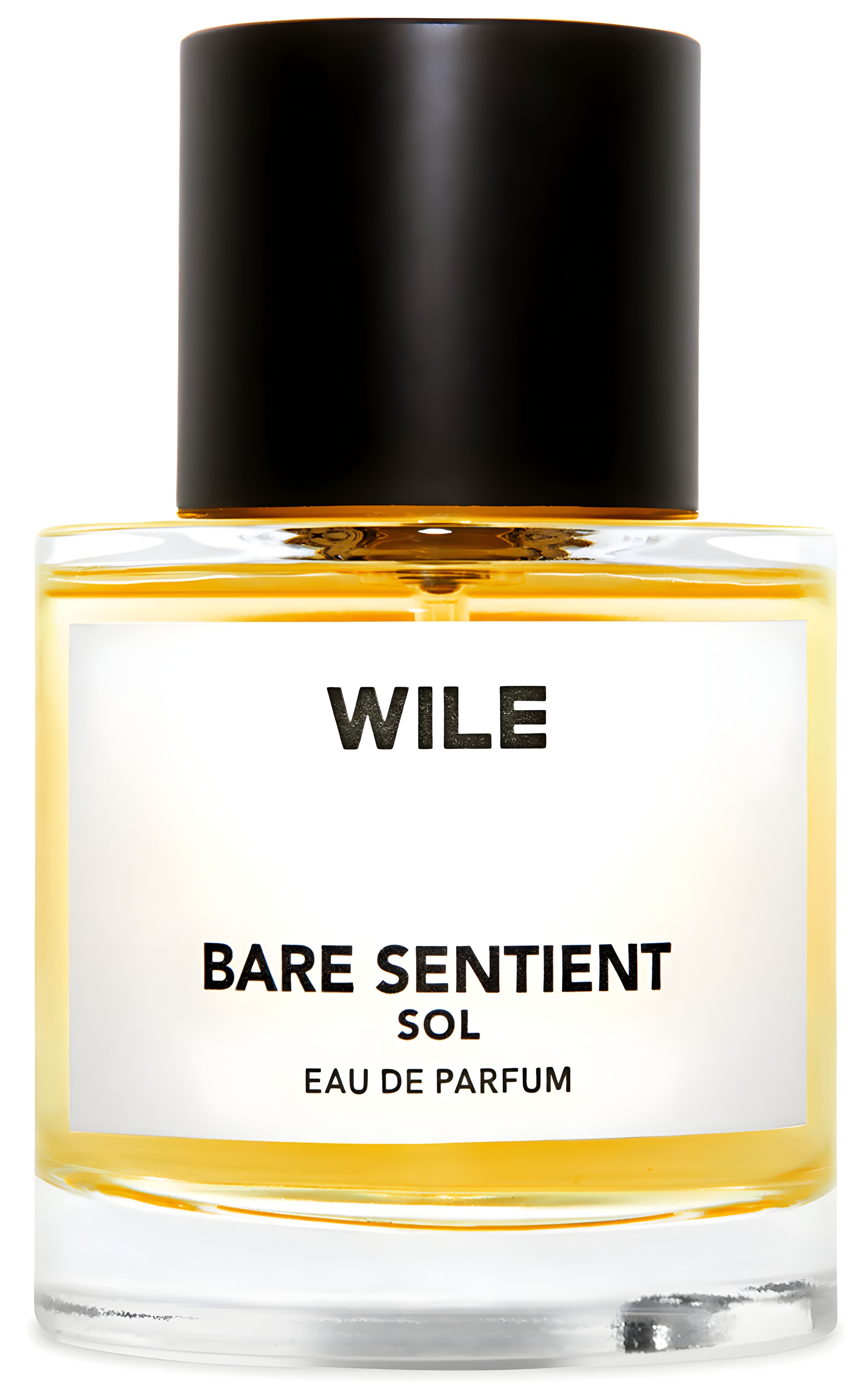 Picture of Bare Sentient Sol fragrance