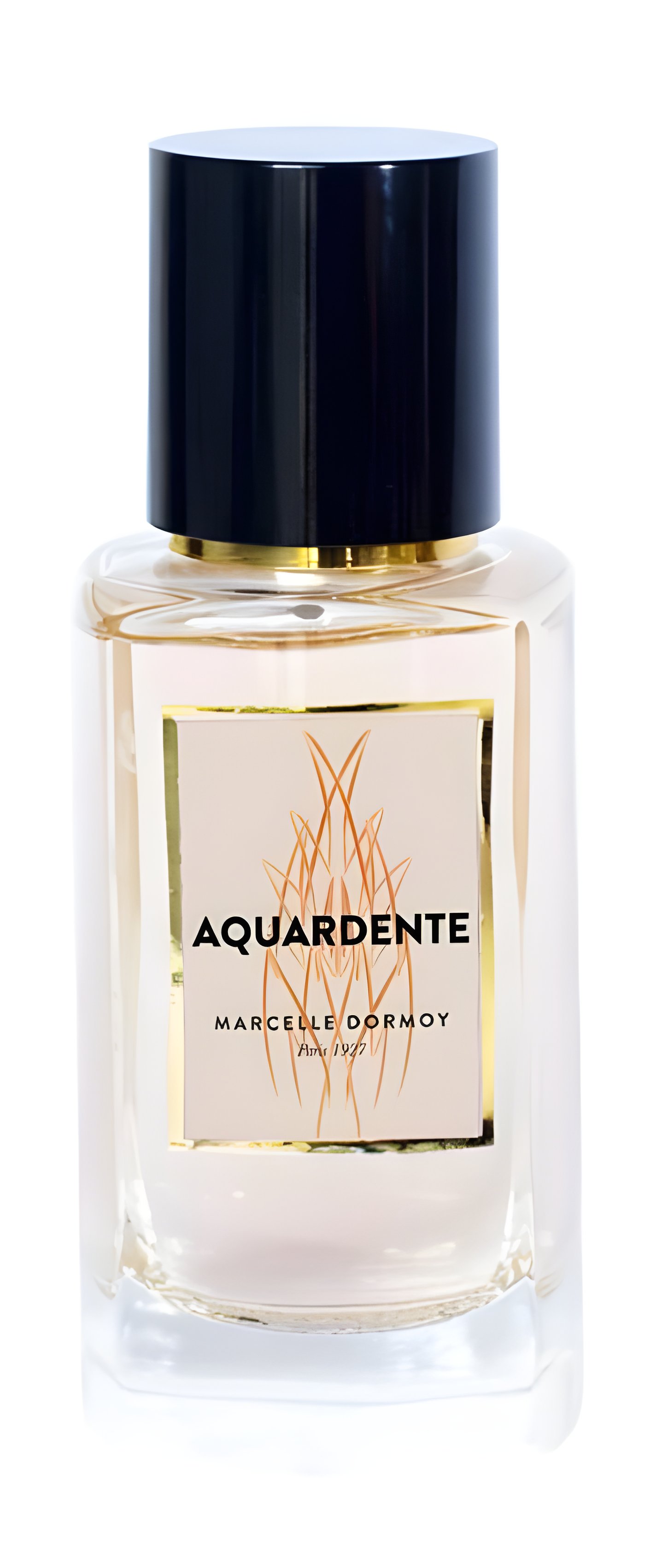 Picture of Aquardente fragrance