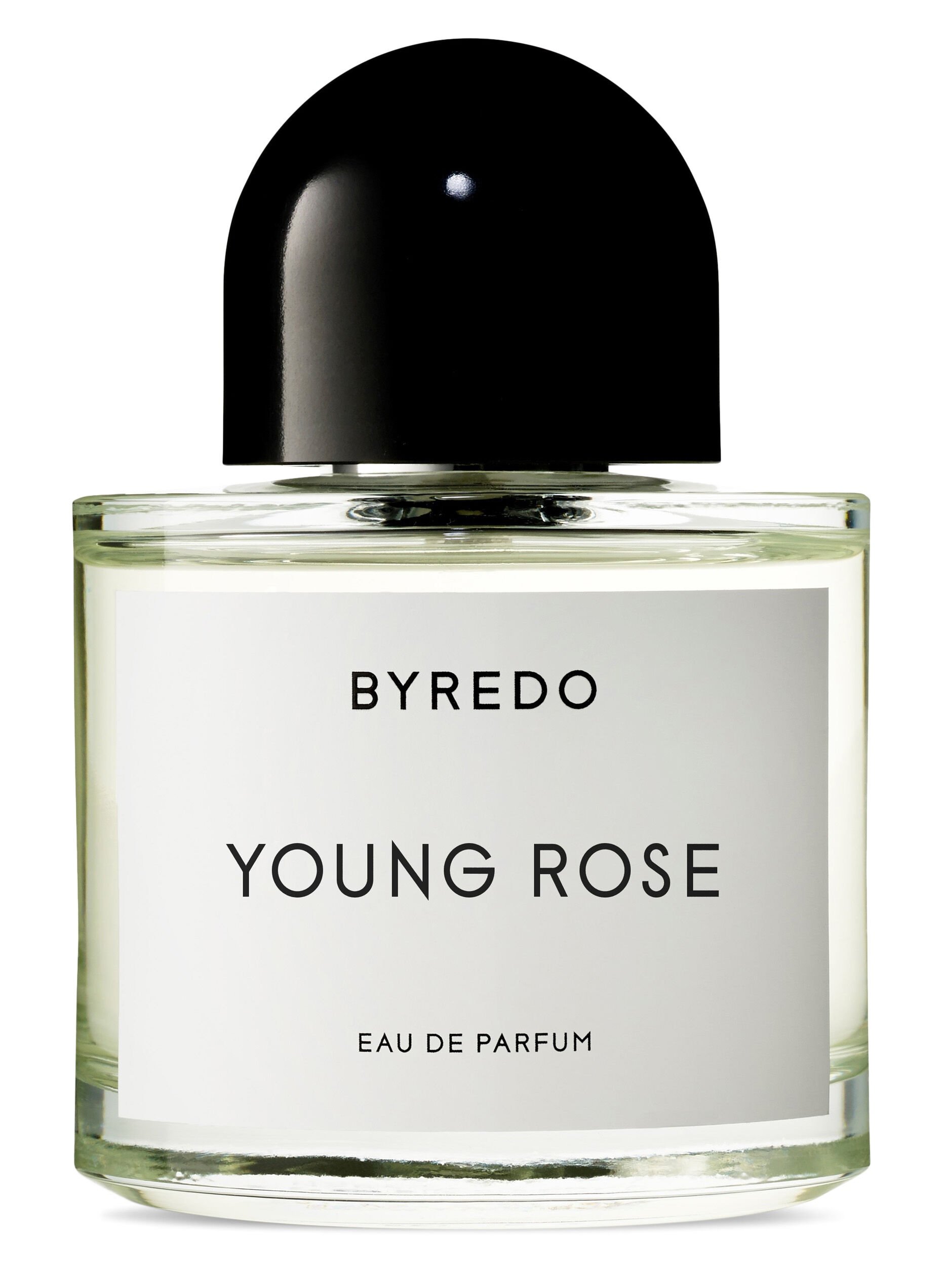 Picture of Young Rose fragrance