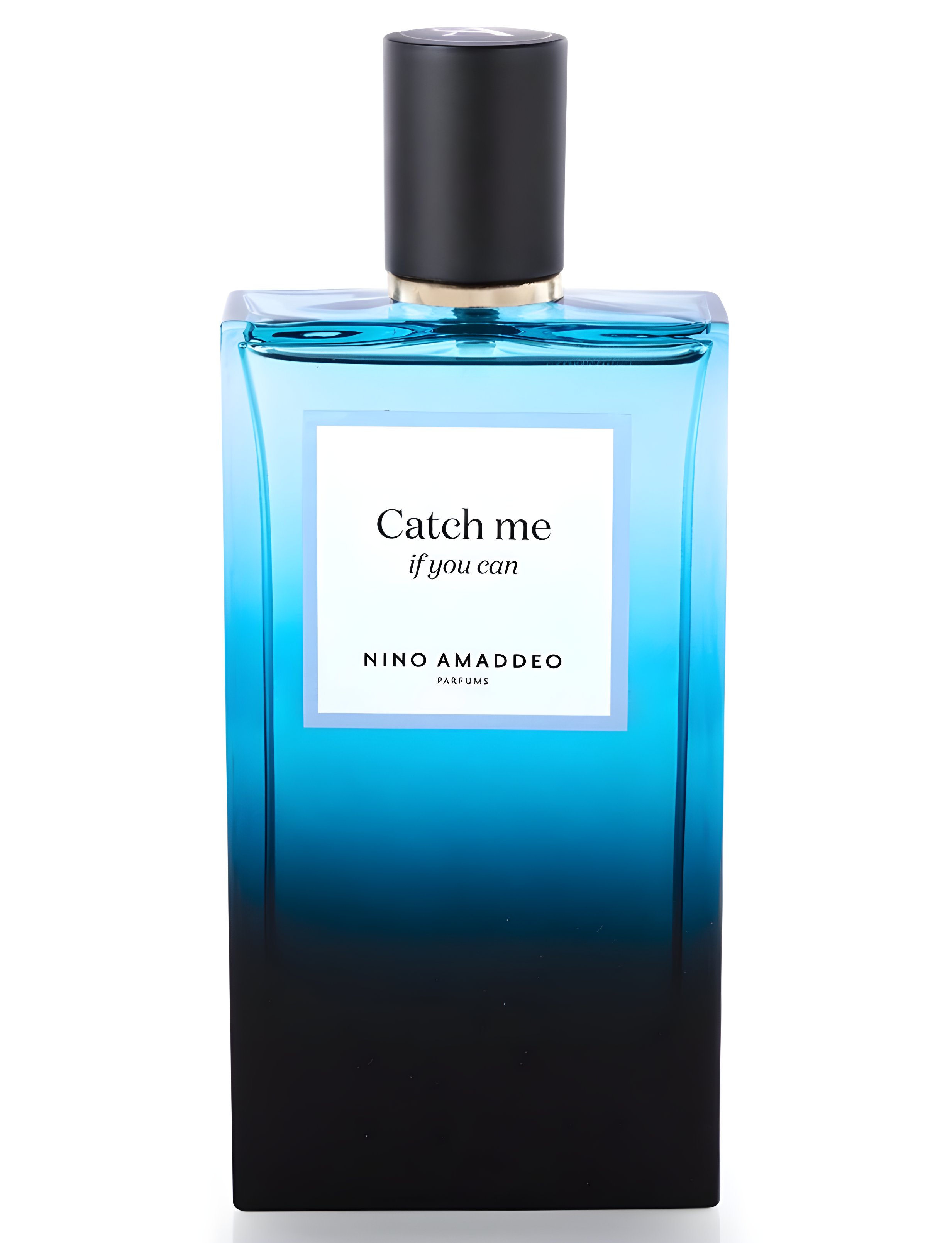 Picture of Catch Me if You Can fragrance