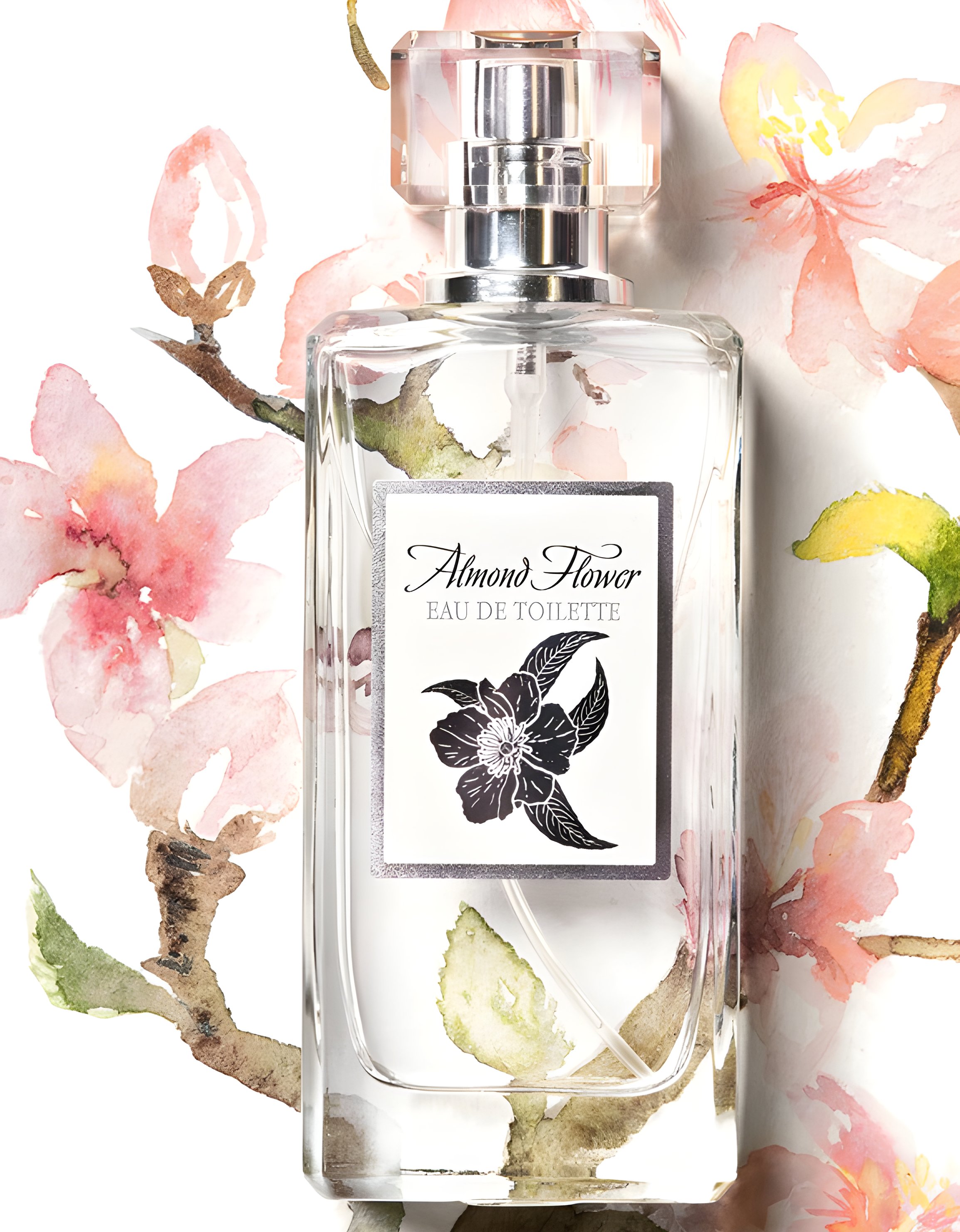 Picture of Almond Flower fragrance