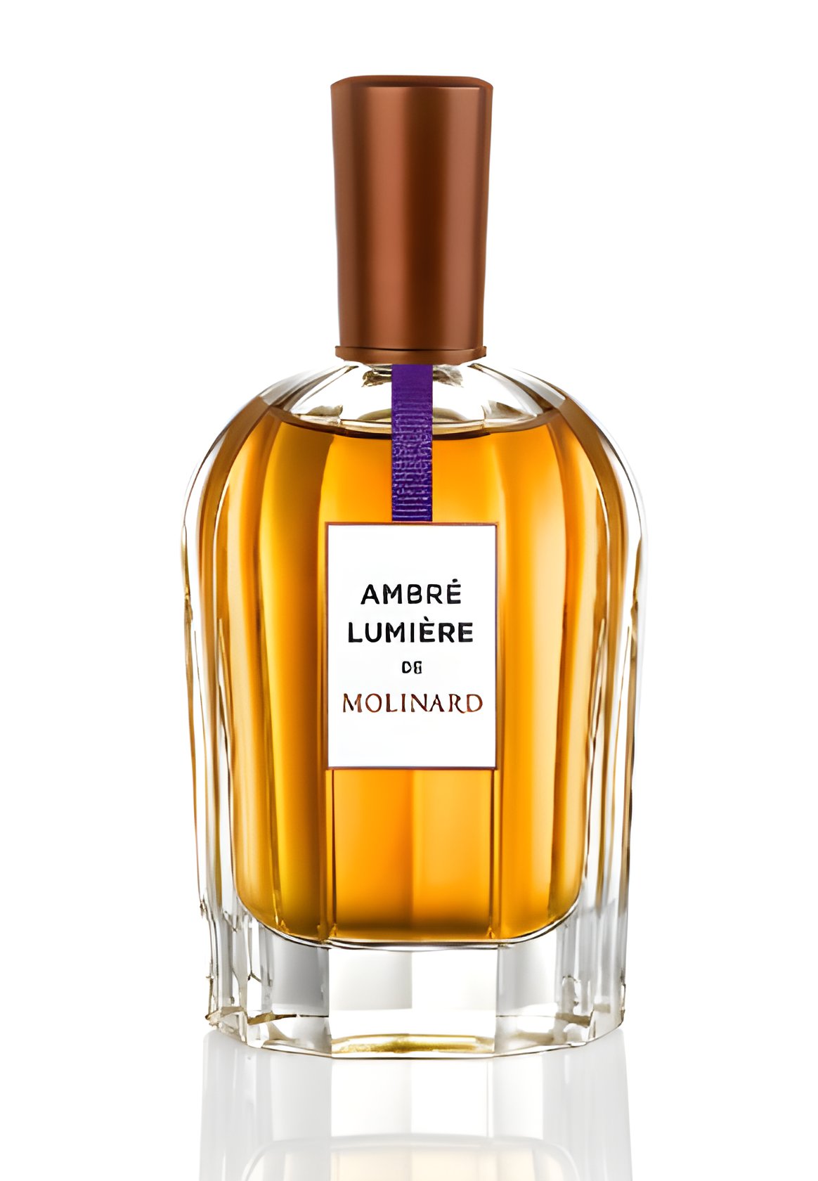 Picture of Ambre Lumiere fragrance