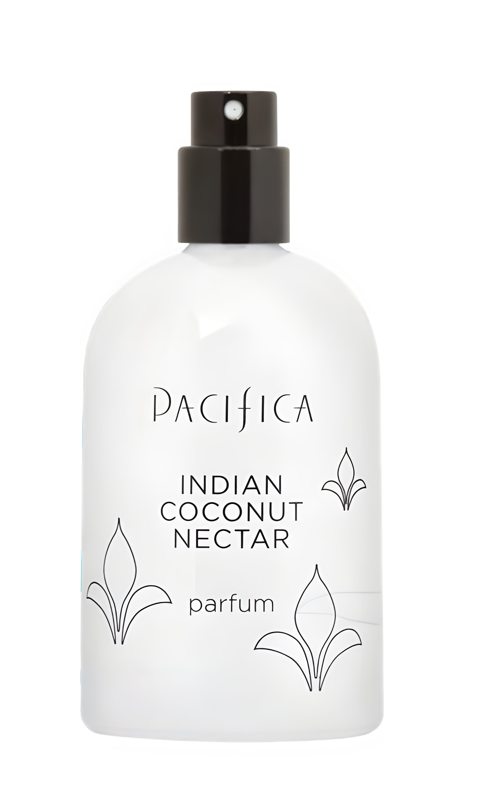 Picture of Indian Coconut Nectar fragrance