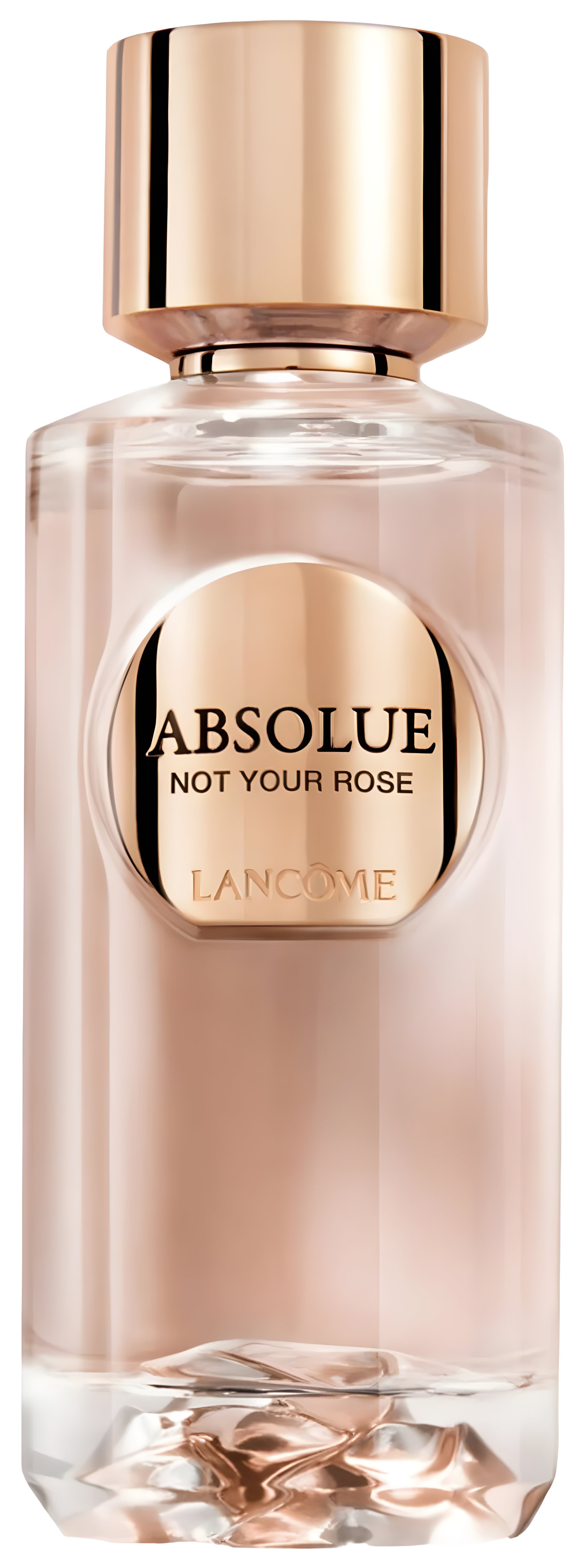 Picture of Absolue Not Your Rose fragrance