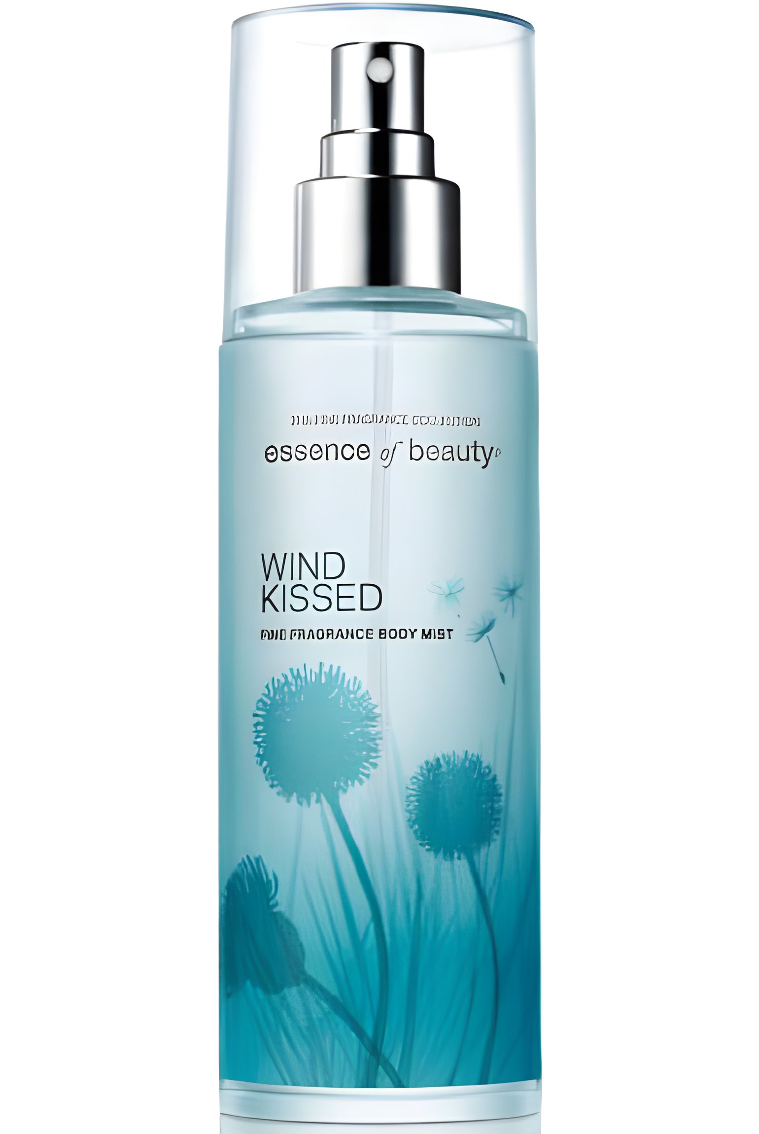 Picture of Wind Kissed fragrance